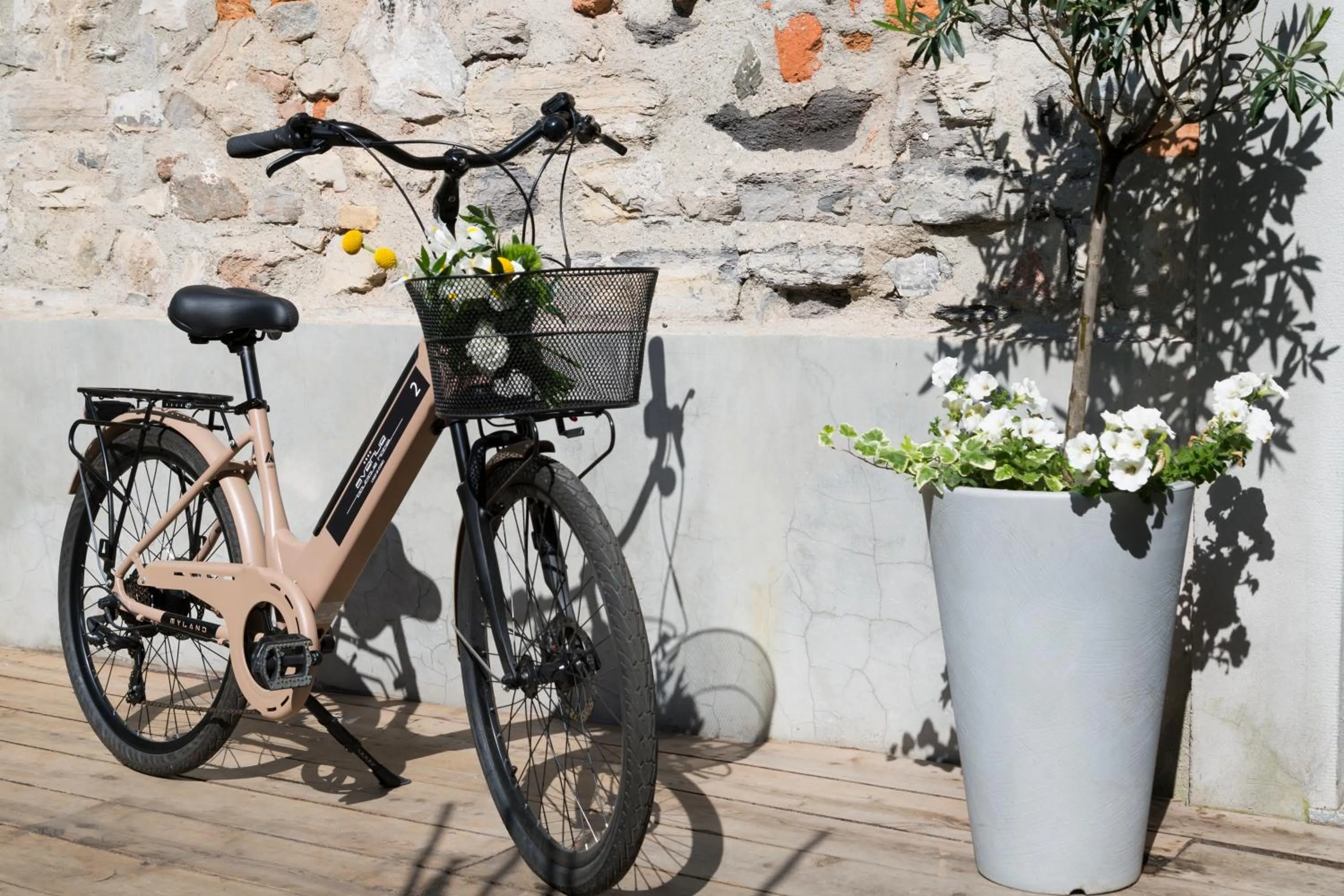 Cycling in Avenue Boutique Hotel