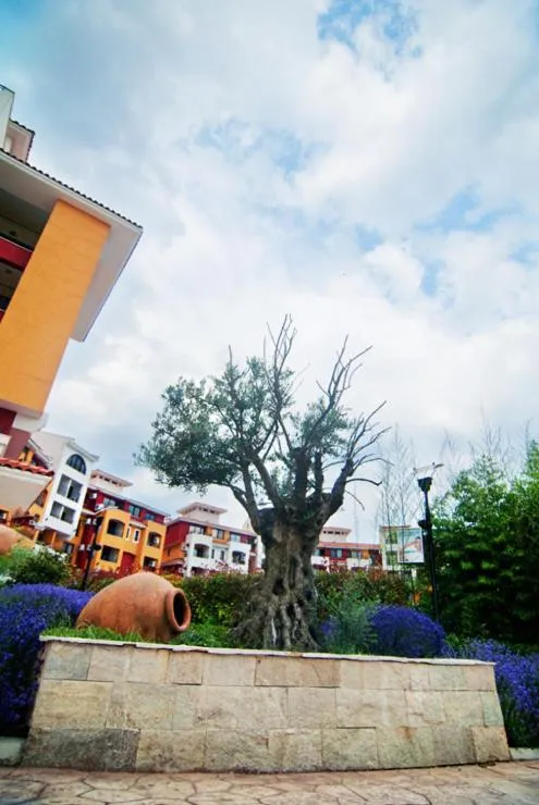 Garden in Marina Cape Vacation Complex