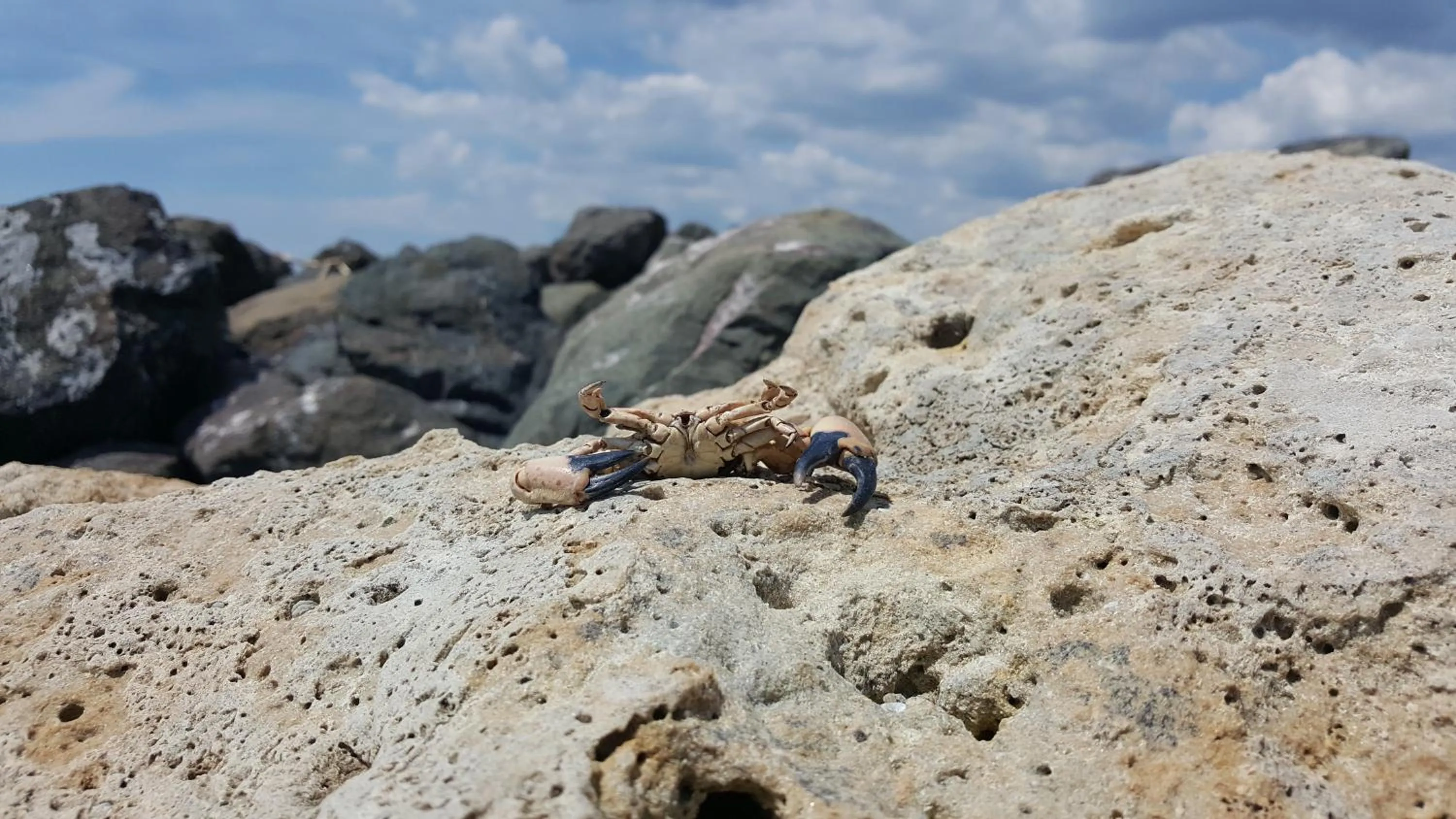 Beach in Marina Cape Vacation Complex