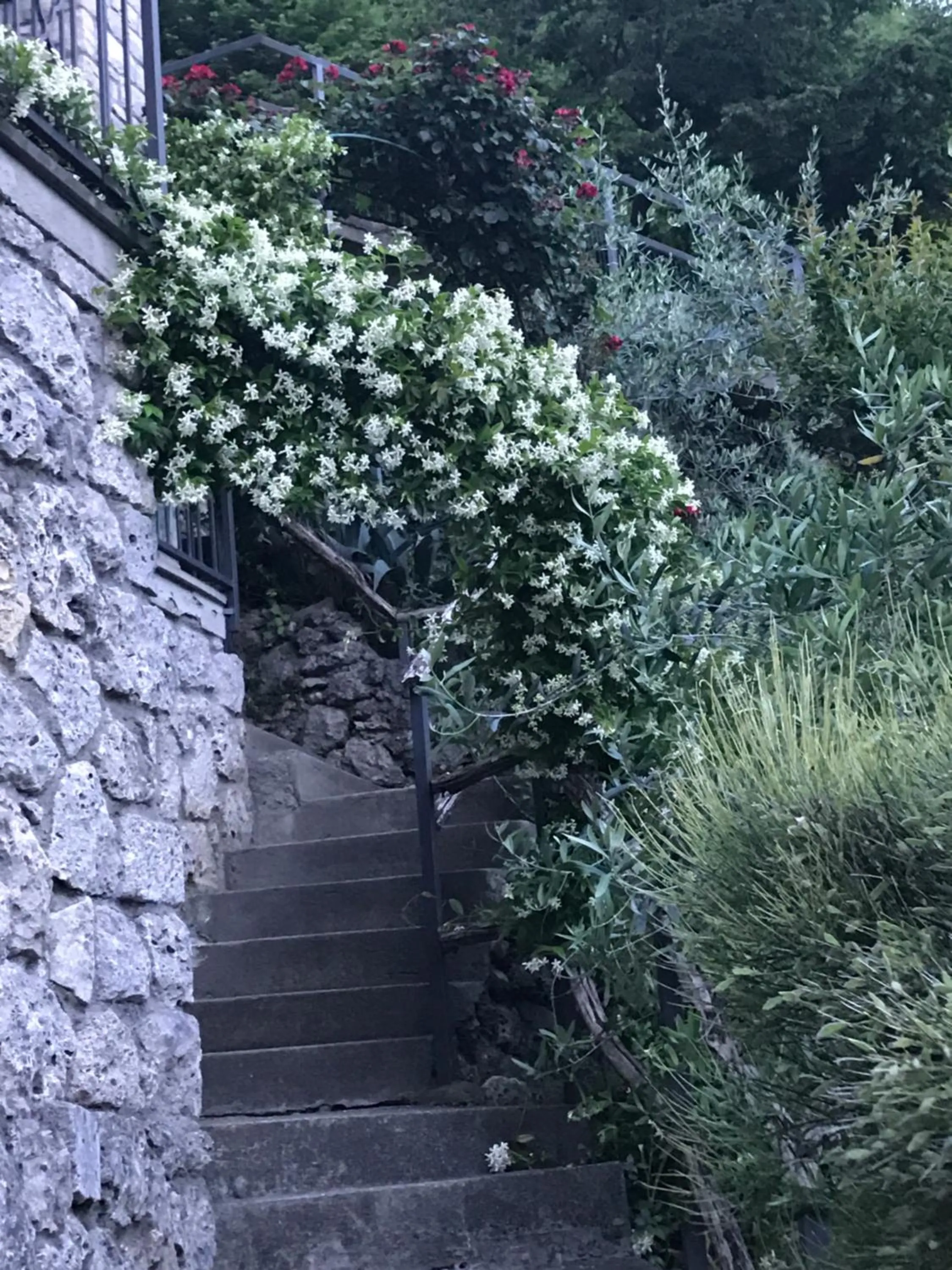 Floor plan in B&B Bellavista