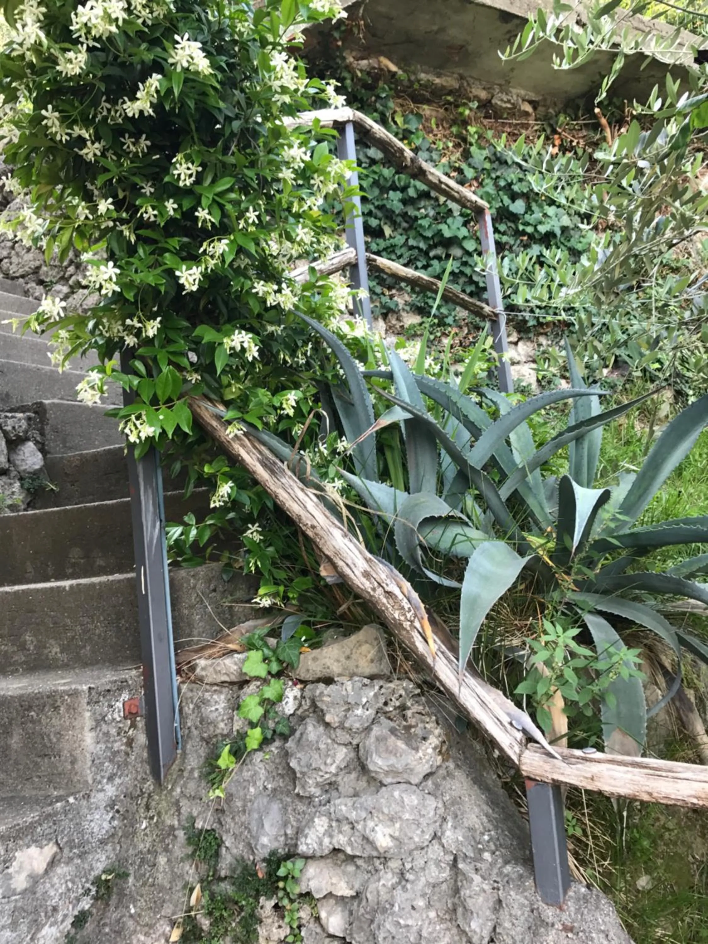 Floor plan in B&B Bellavista