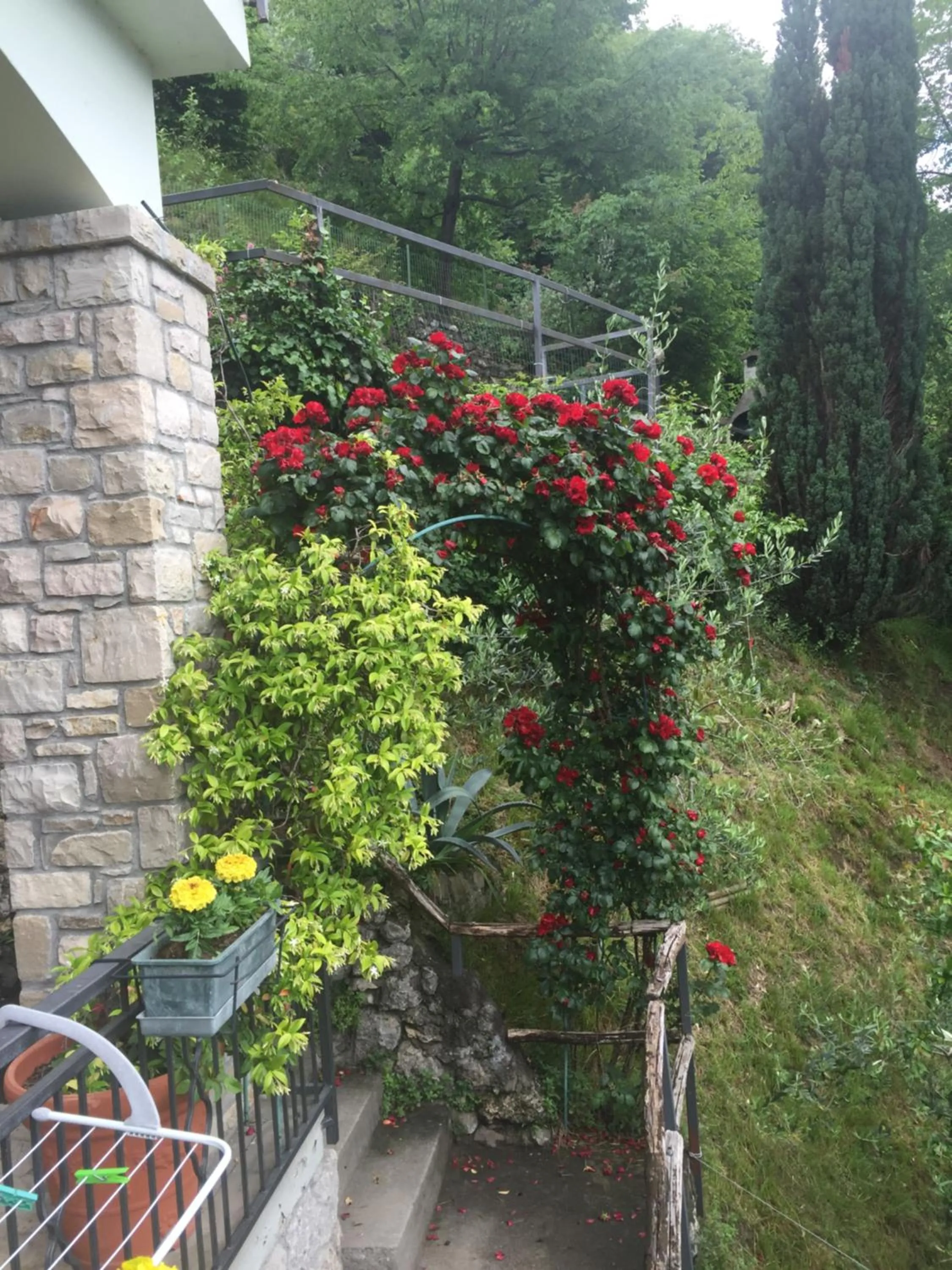 Property building in B&B Bellavista