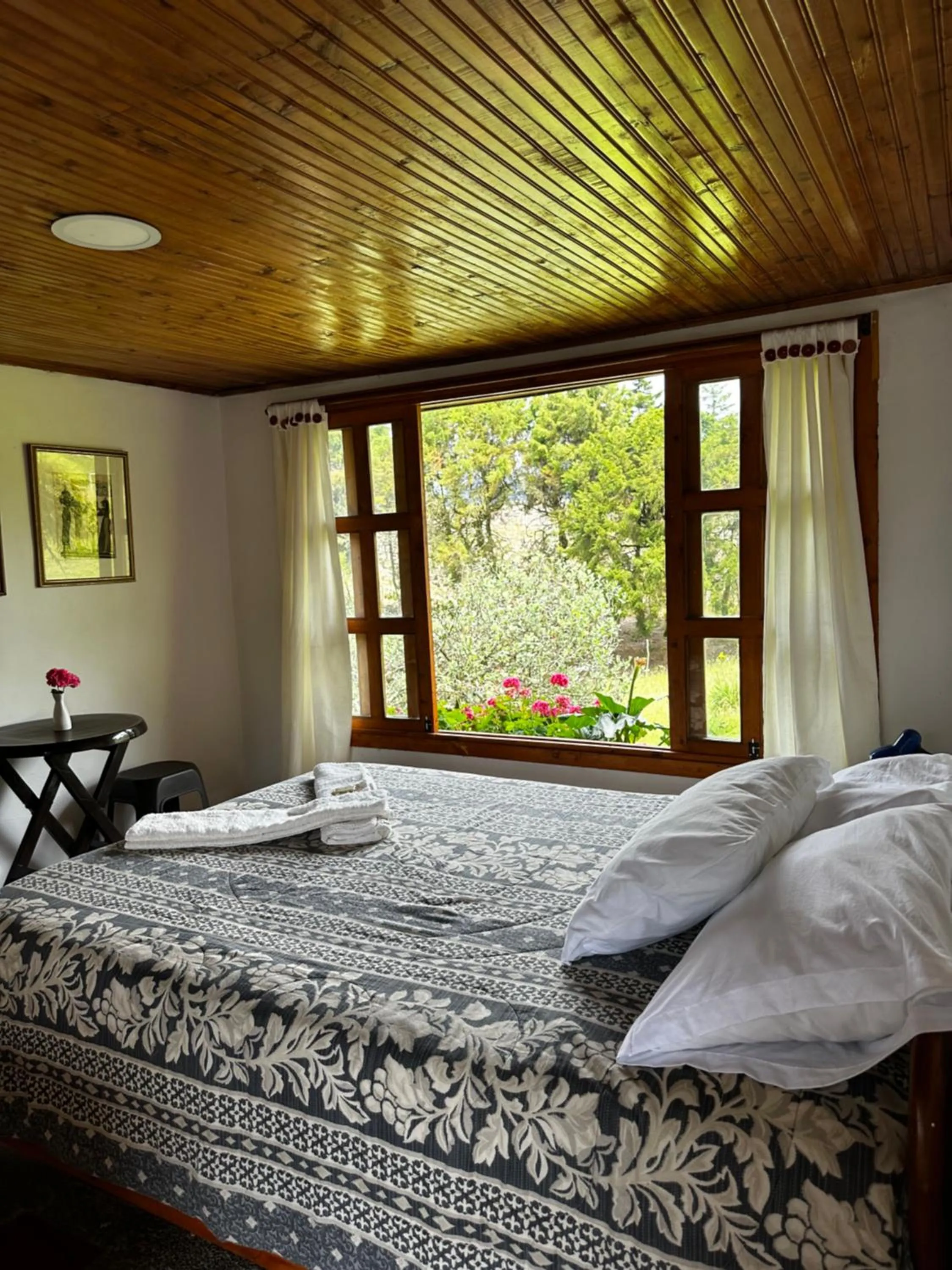 Double Room - single occupancy in Finca La Toscana