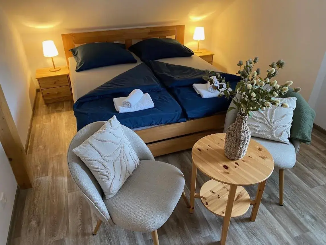 Standard Double Room - single occupancy in Hostinec U Pejska a Kocicky Standard Double Room - single occupancy in Hostinec U Pejska a Kocicky