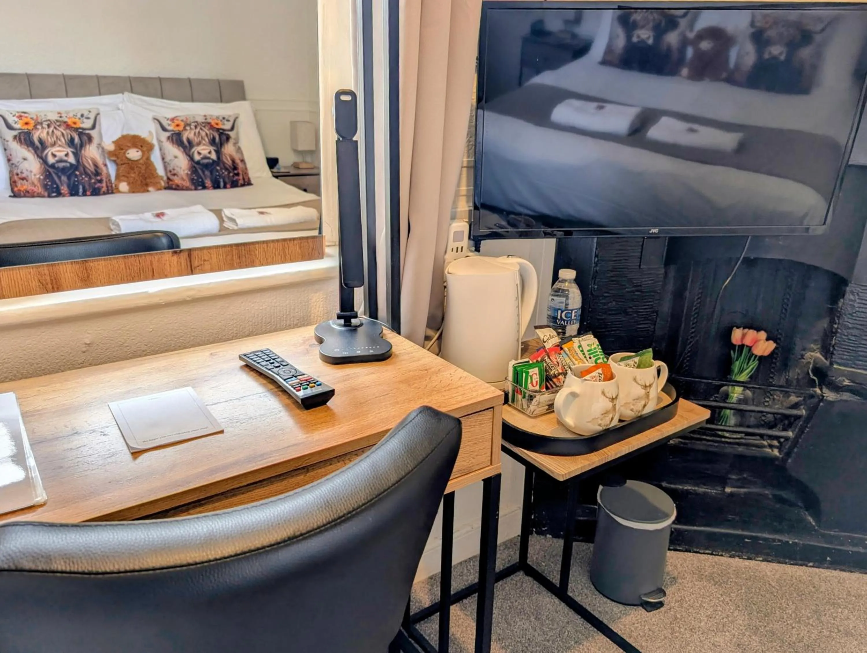TV and multimedia in Graham Arms Inn