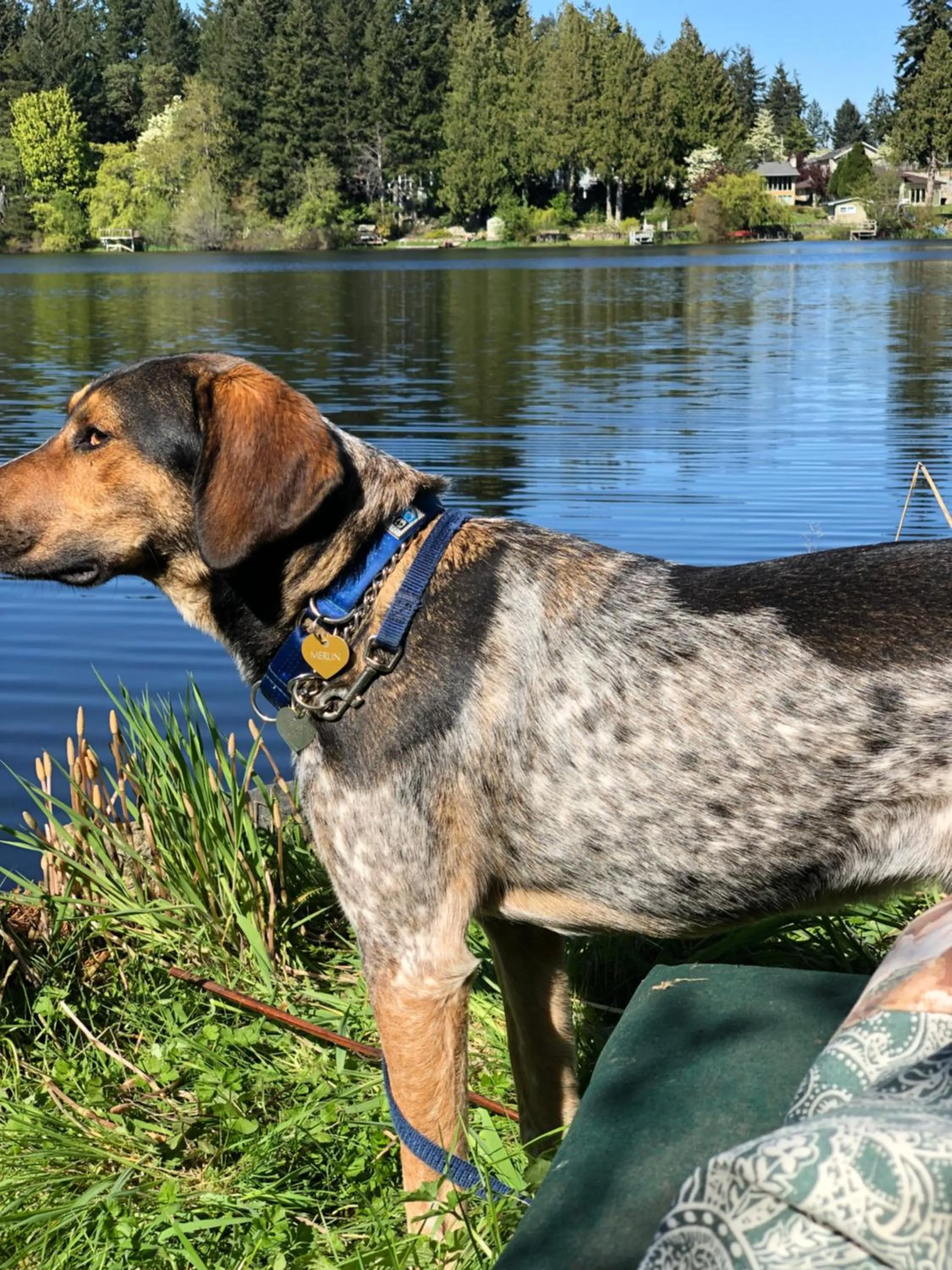 Cycle Inn Bed and Breakfast