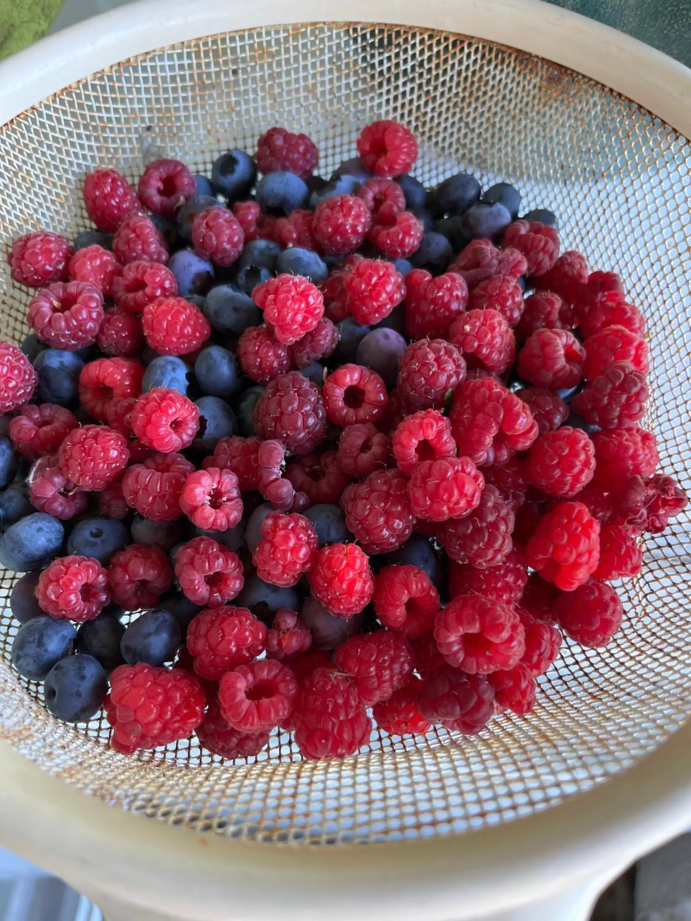 Cycle Inn Bed and Breakfast