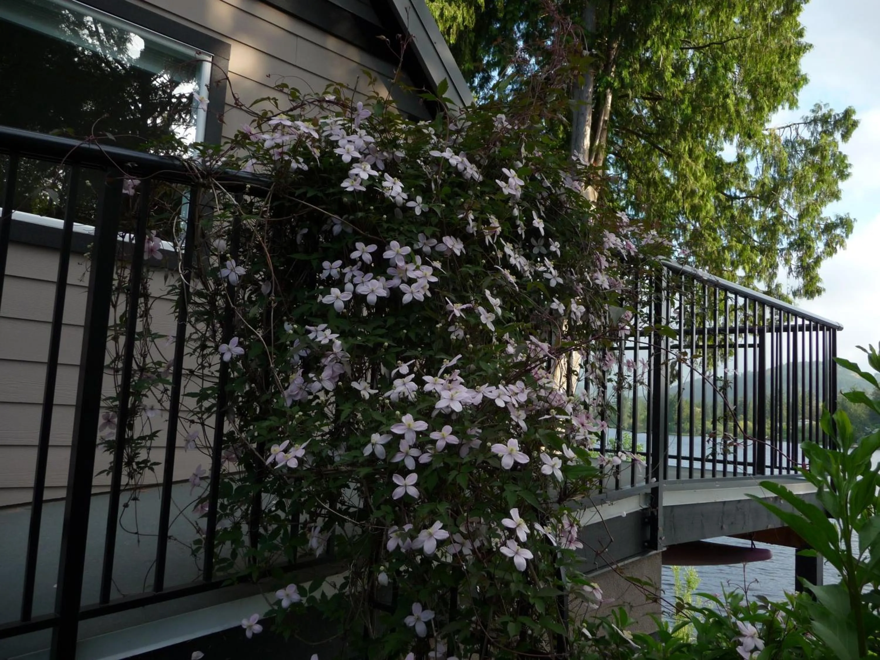 Decorative detail in Cycle Inn Bed and Breakfast