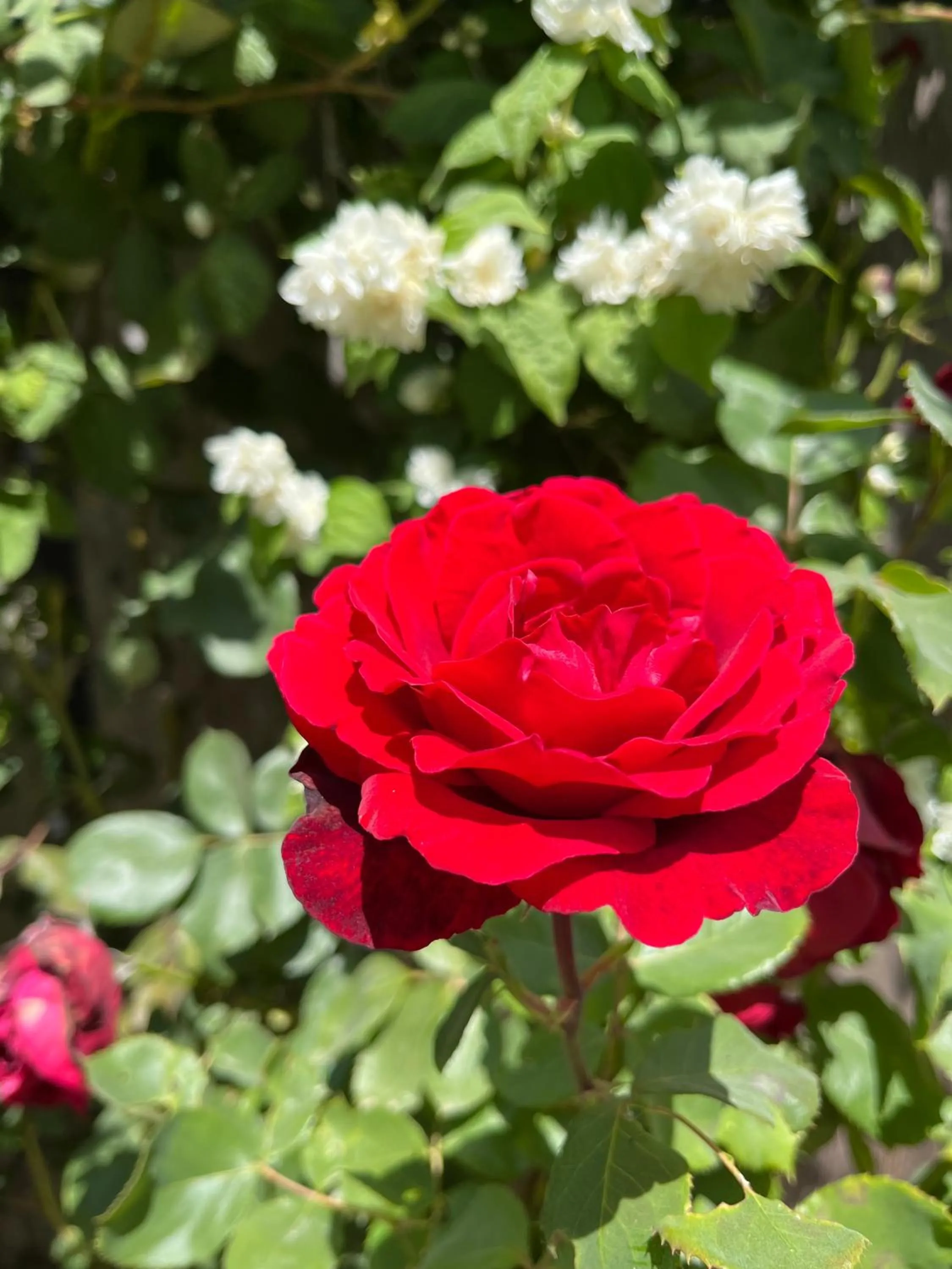 Cycle Inn Bed and Breakfast