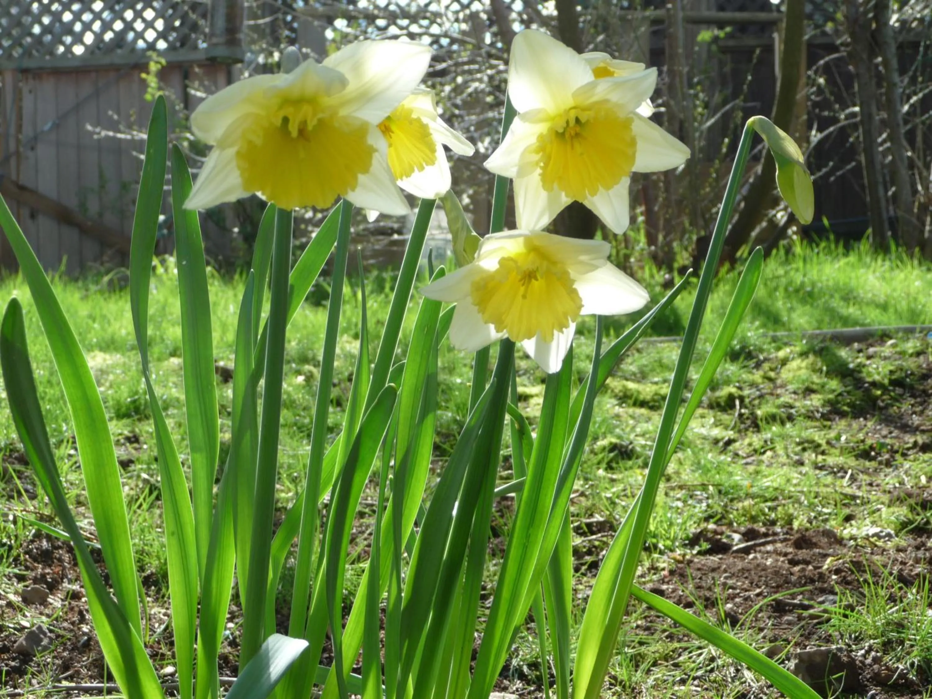 Natural landscape in Cycle Inn Bed and Breakfast