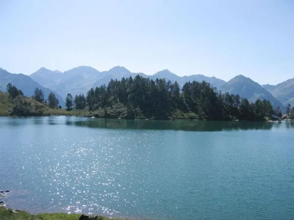 Area and facilities in Hotel Marxant