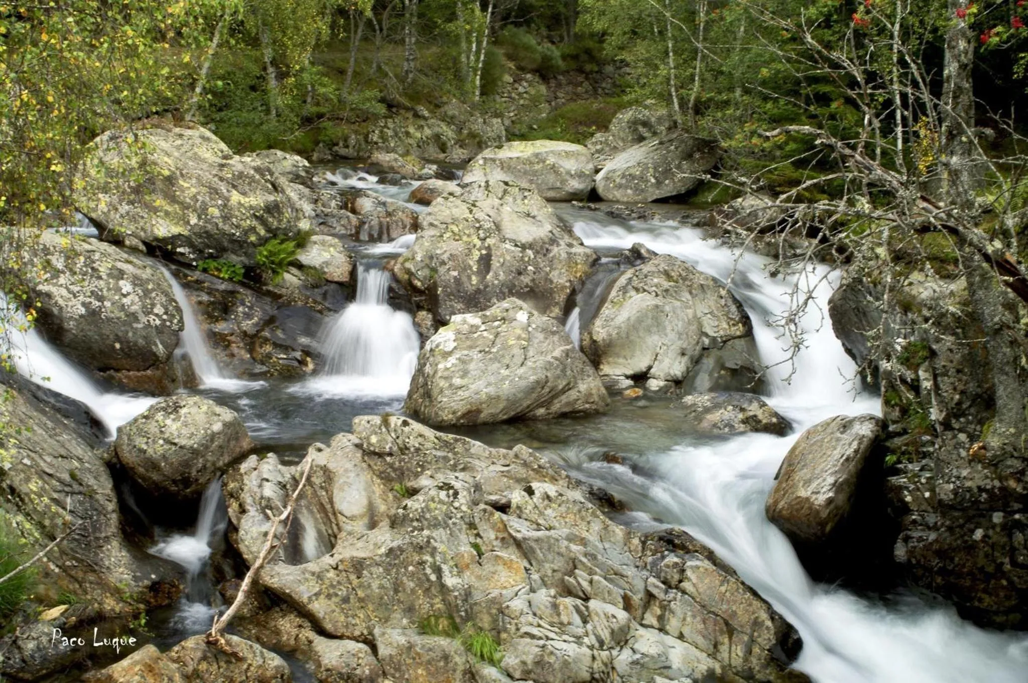 Natural landscape in Hotel Marxant