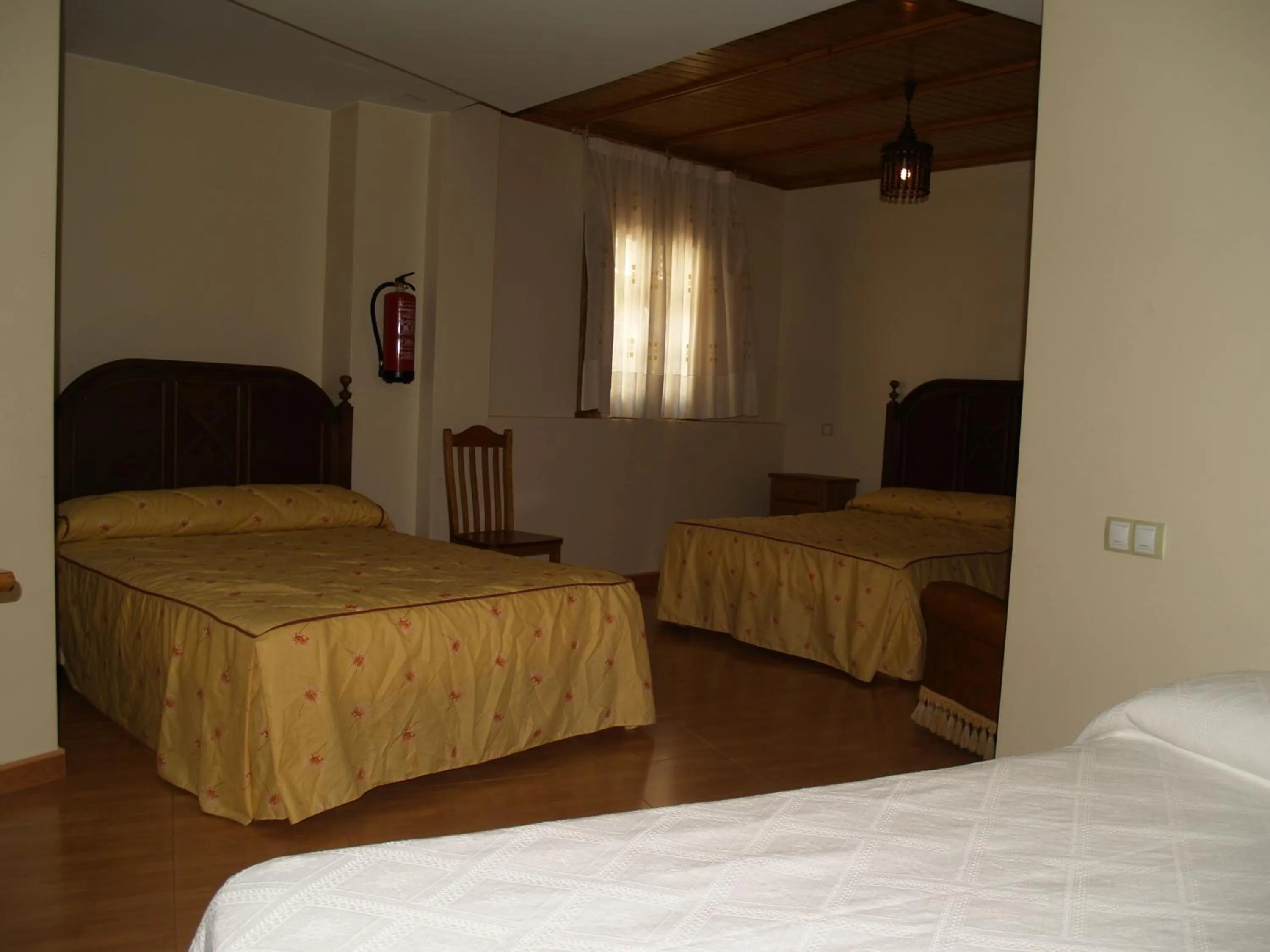Day, Bed in Hostal Tribal