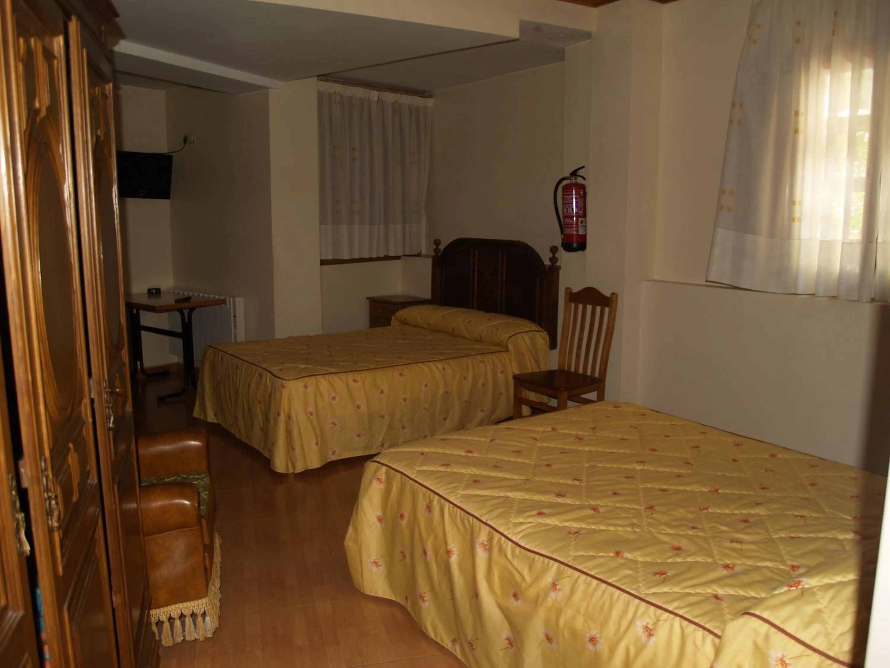 Day, Bed in Hostal Tribal