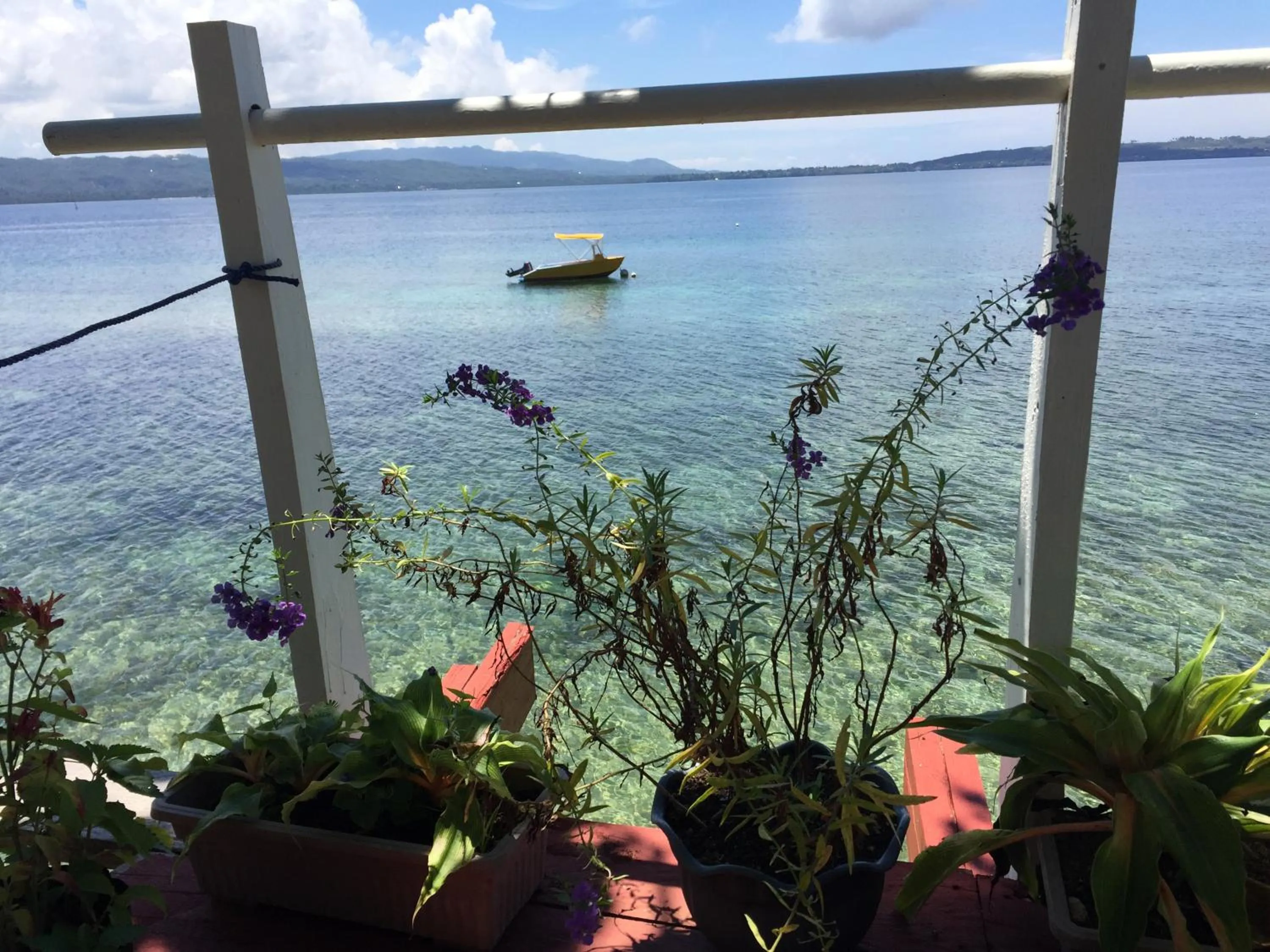 Balcony/Terrace in Rene's Resort