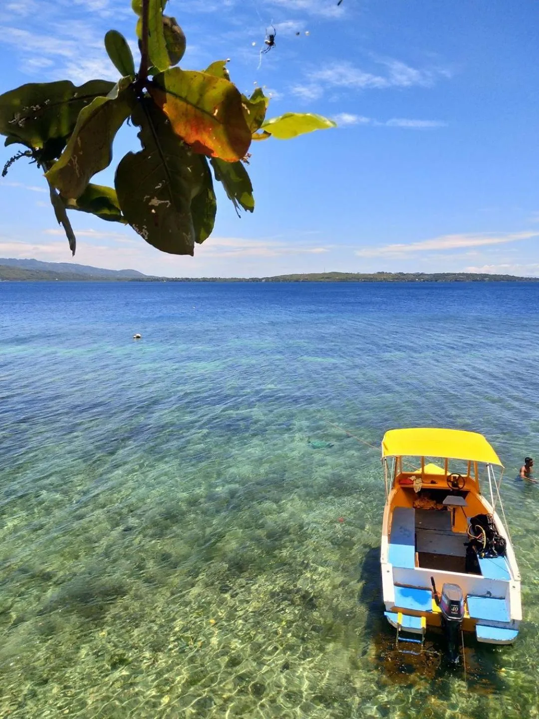 Diving in Rene's Resort