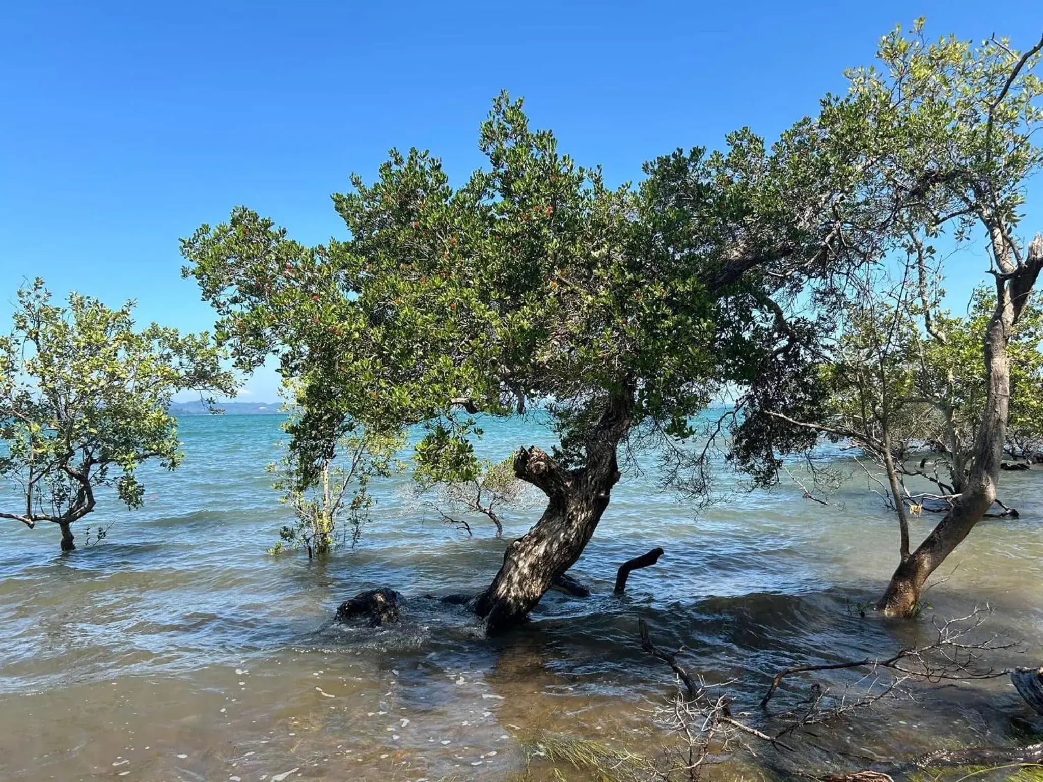 Somphoch Garden Somphoch Garden