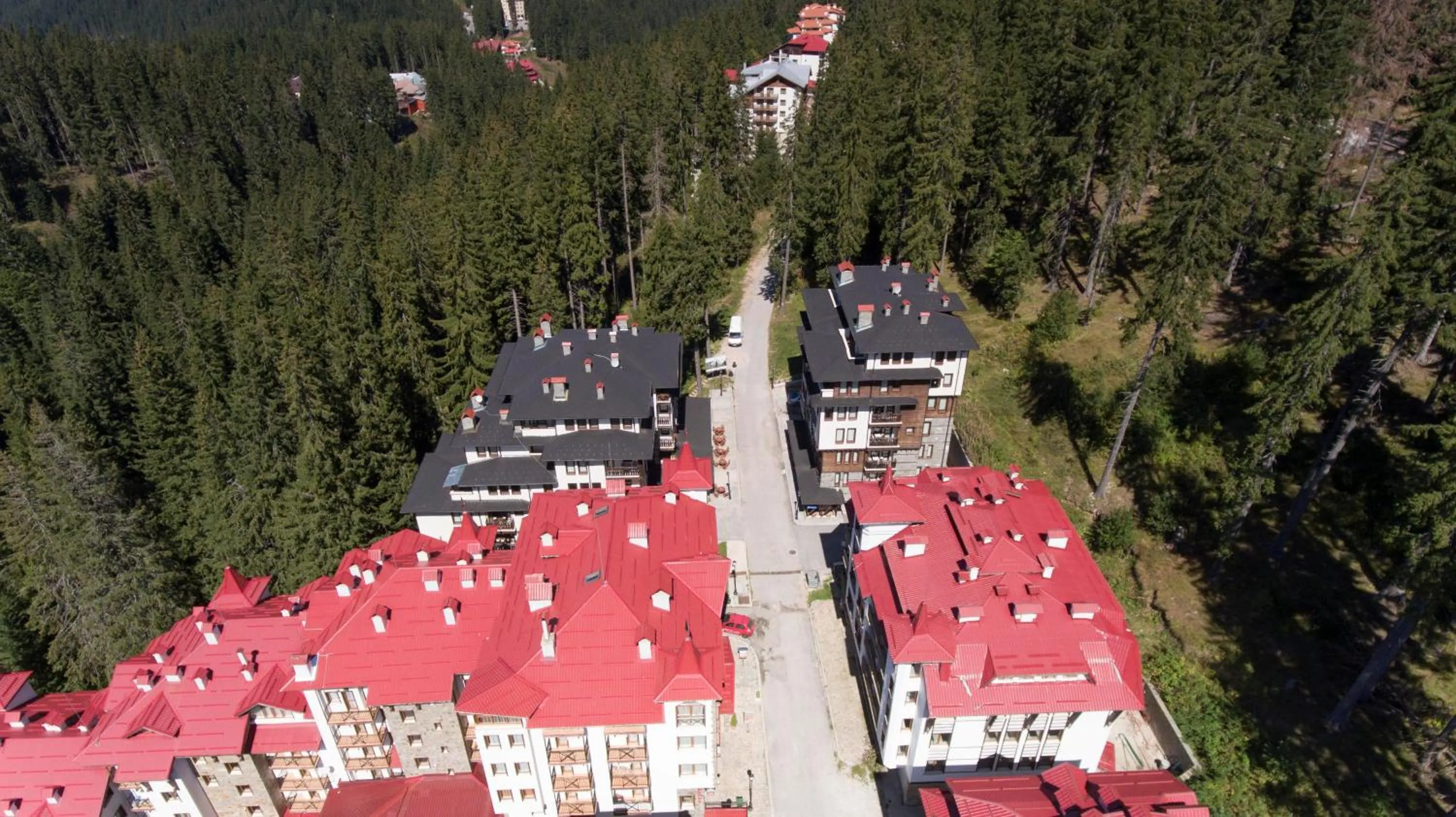 Bird's eye view in Green Life Family Apartments Pamporovo
