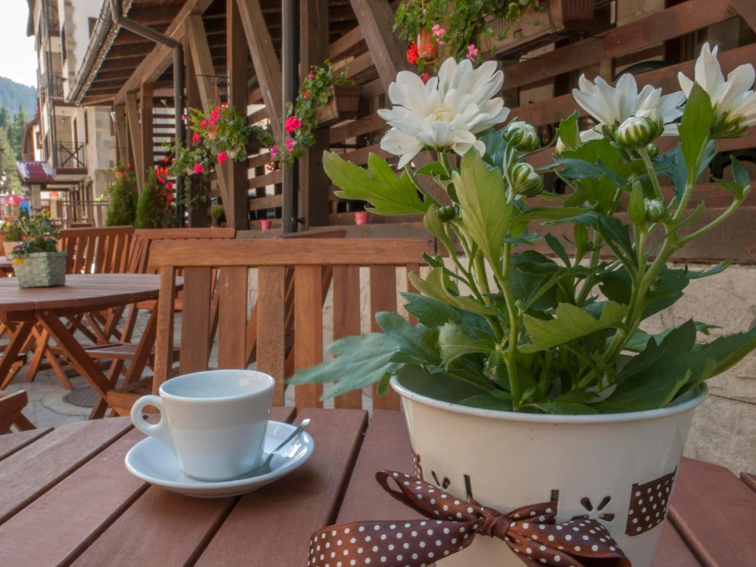 Decorative detail in Green Life Family Apartments Pamporovo