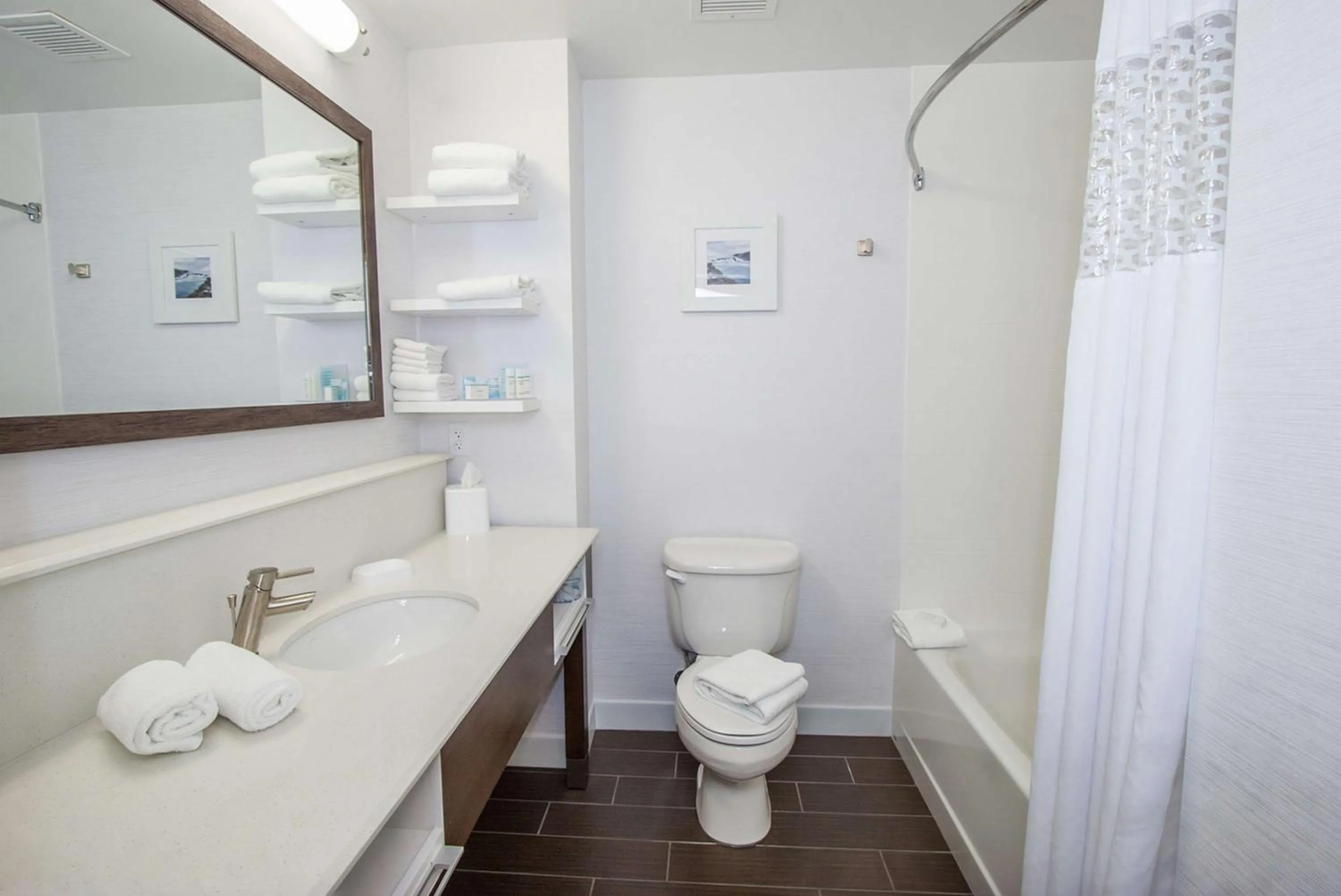 Bathroom in Hampton Inn - Great Falls