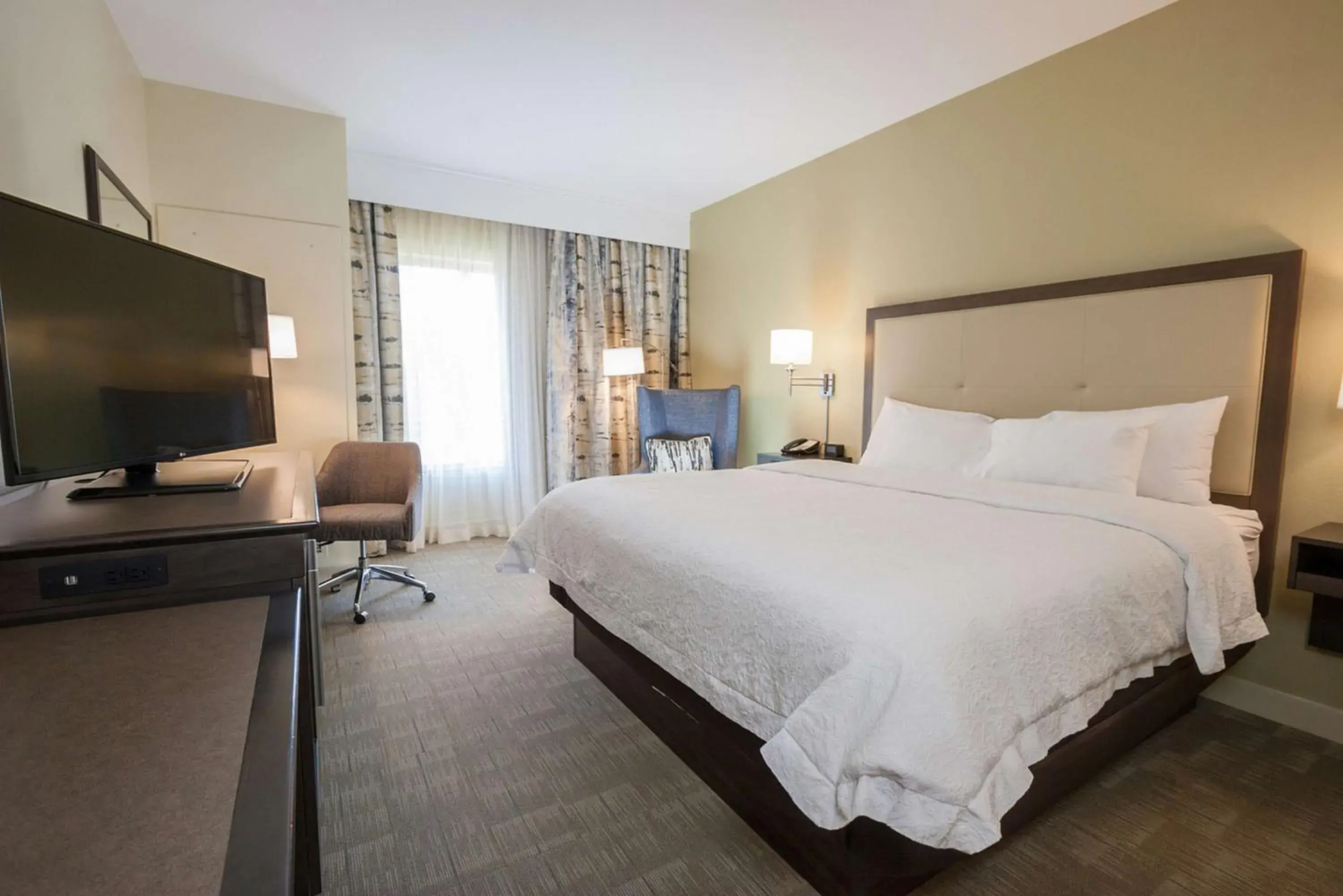 Bedroom, Bed in Hampton Inn - Great Falls Bedroom, Bed in Hampton Inn - Great Falls