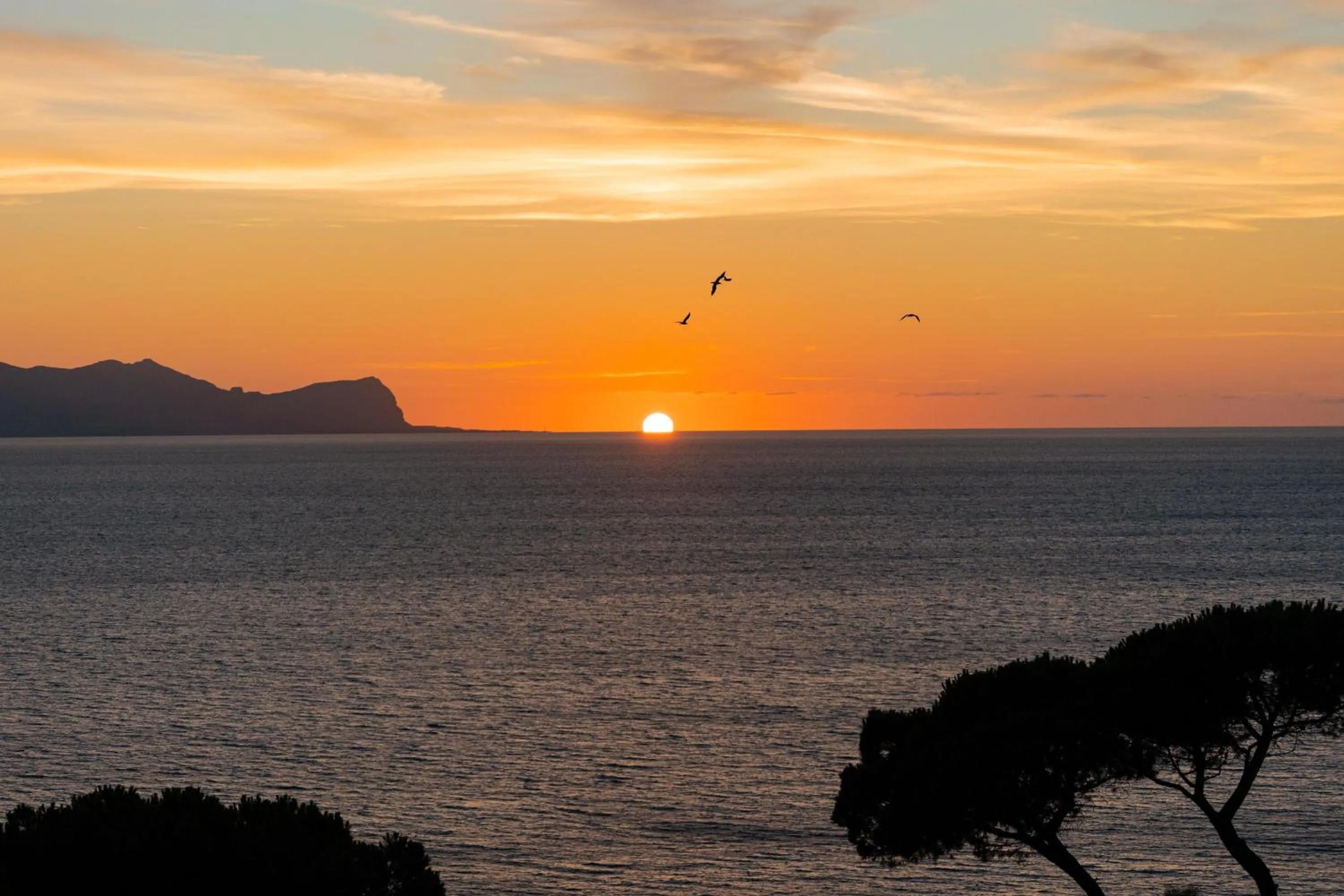 Natural landscape in CDSHotels Terrasini - Città del Mare