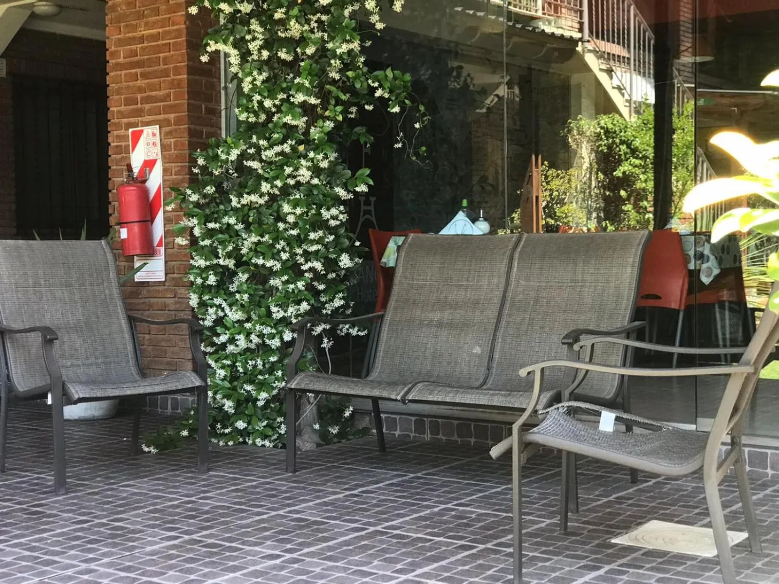Garden in Hotel Francia