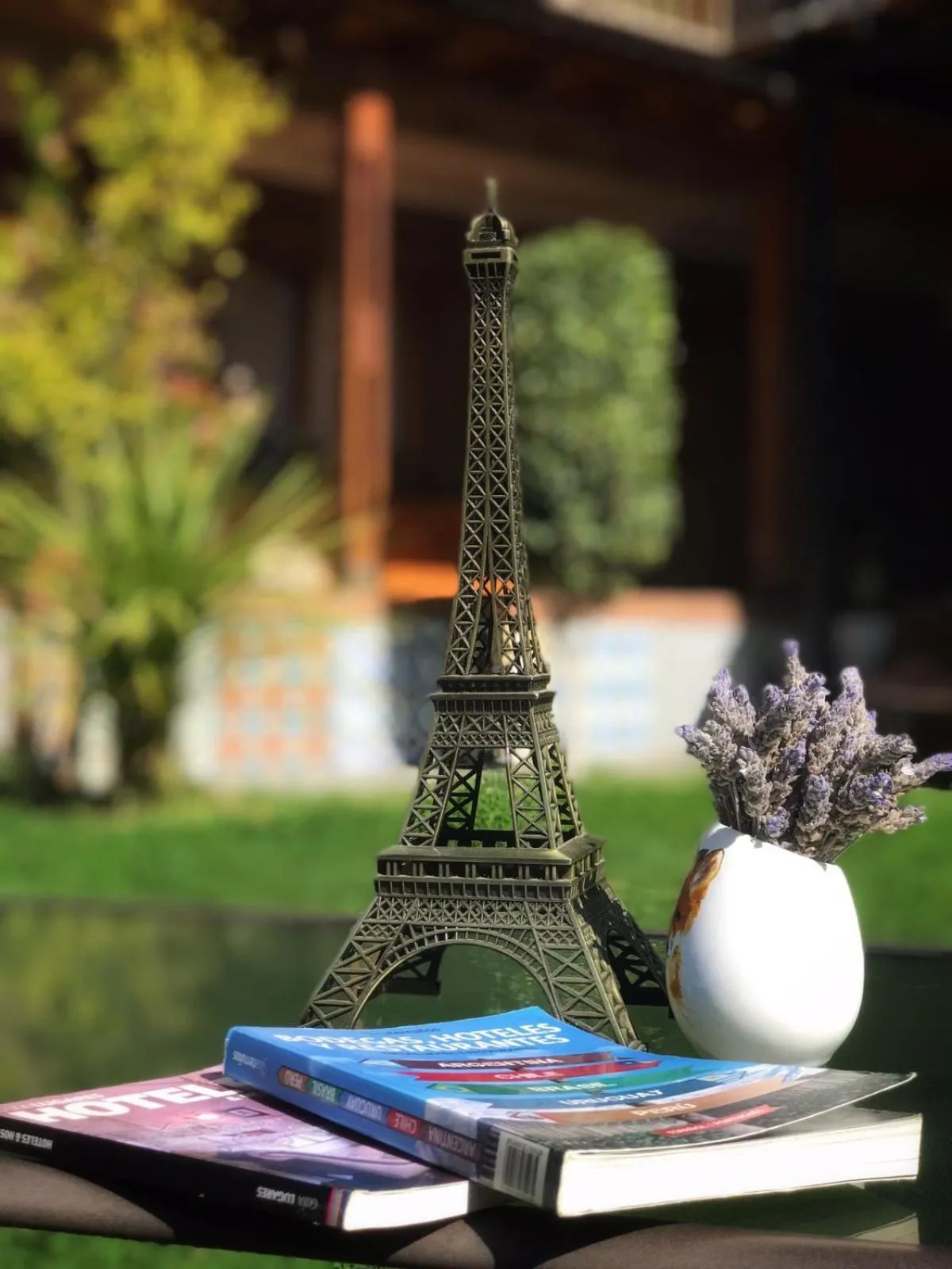Garden in Hotel Francia
