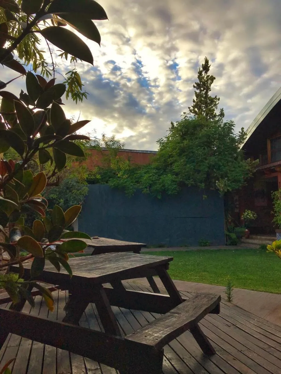 Garden in Hotel Francia