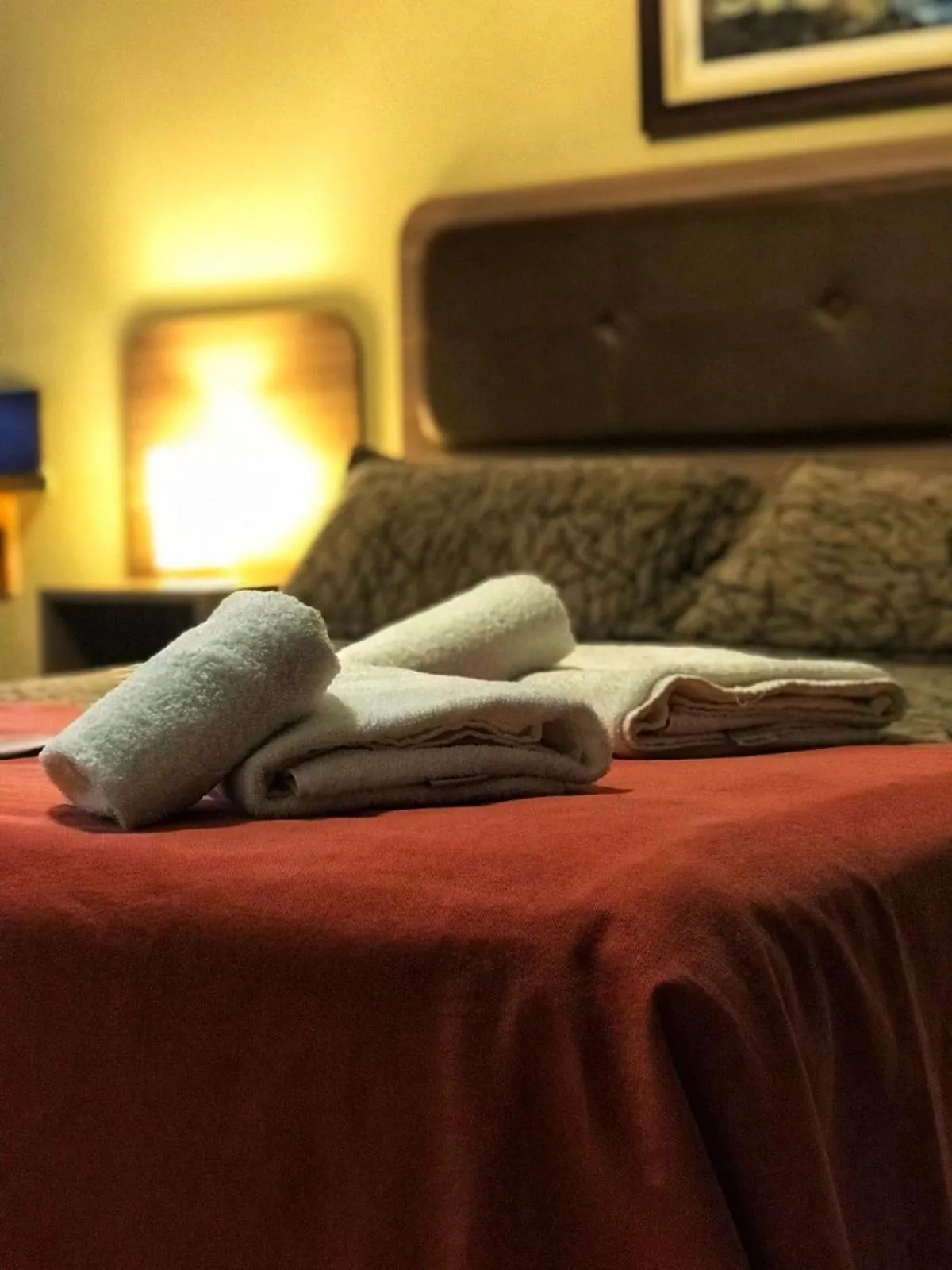 towels, Bed in Hotel Francia