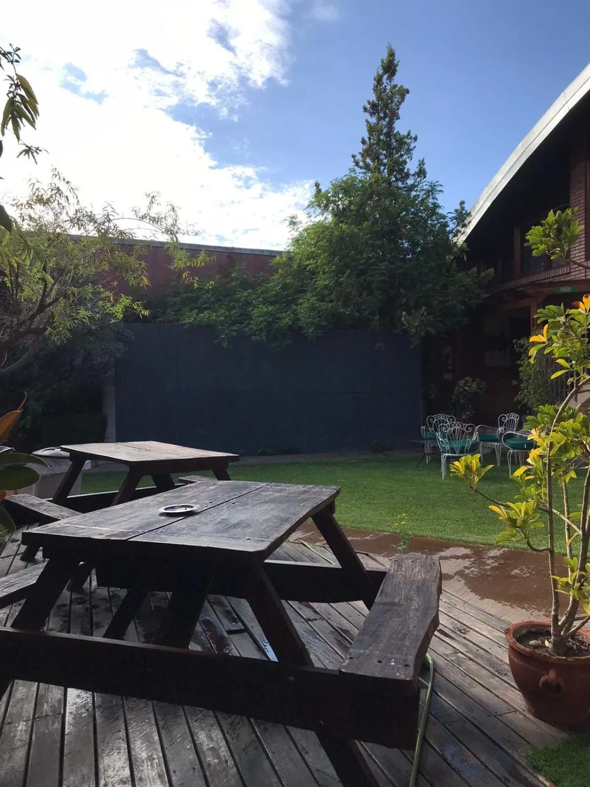 Garden in Hotel Francia