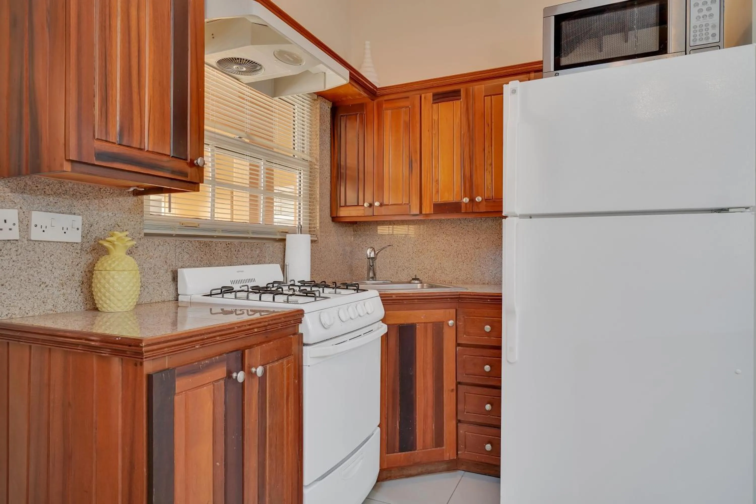Kitchen or kitchenette in Mandela Court Suites Grenada