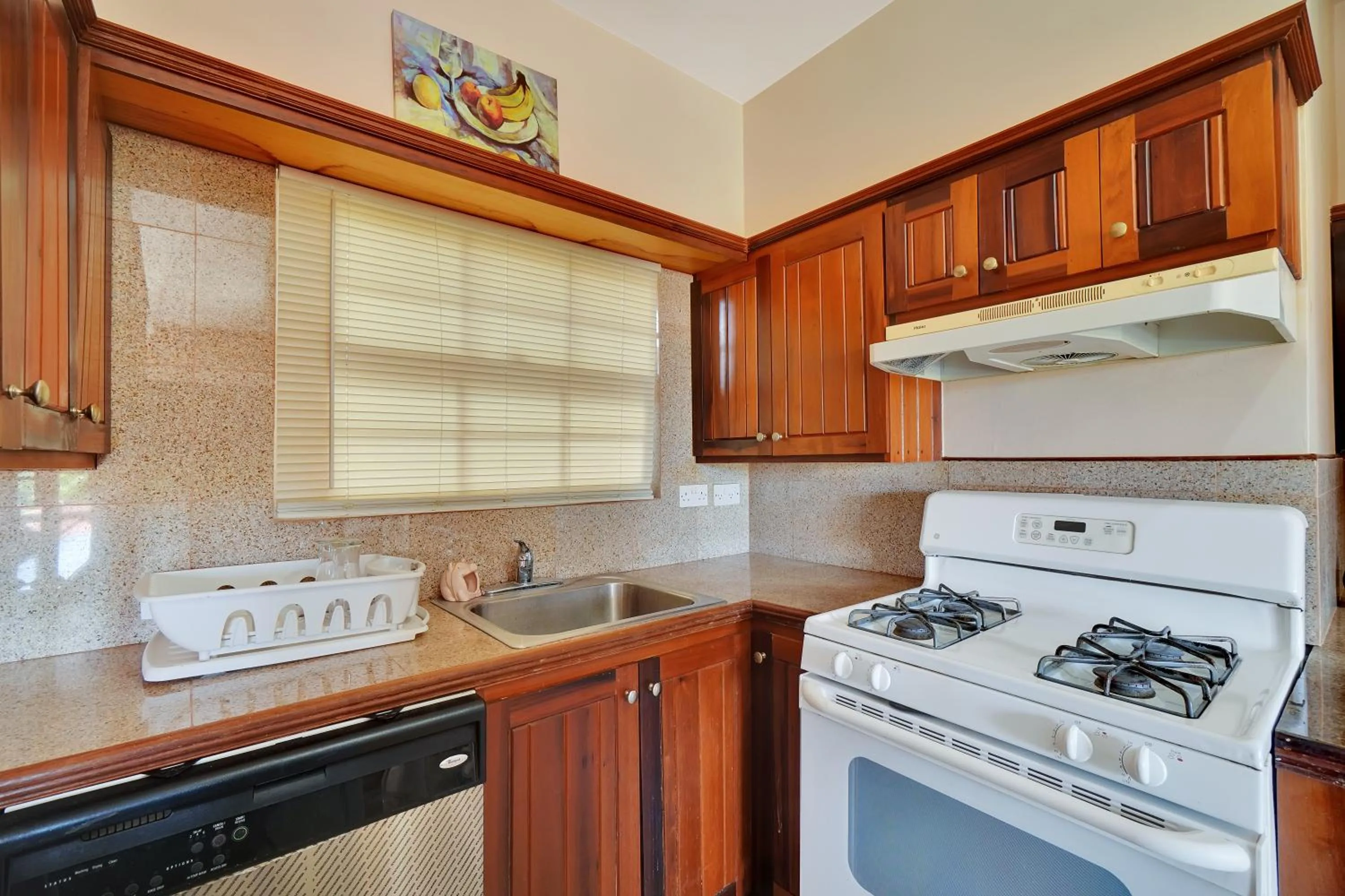 Kitchen or kitchenette in Mandela Court Suites Grenada