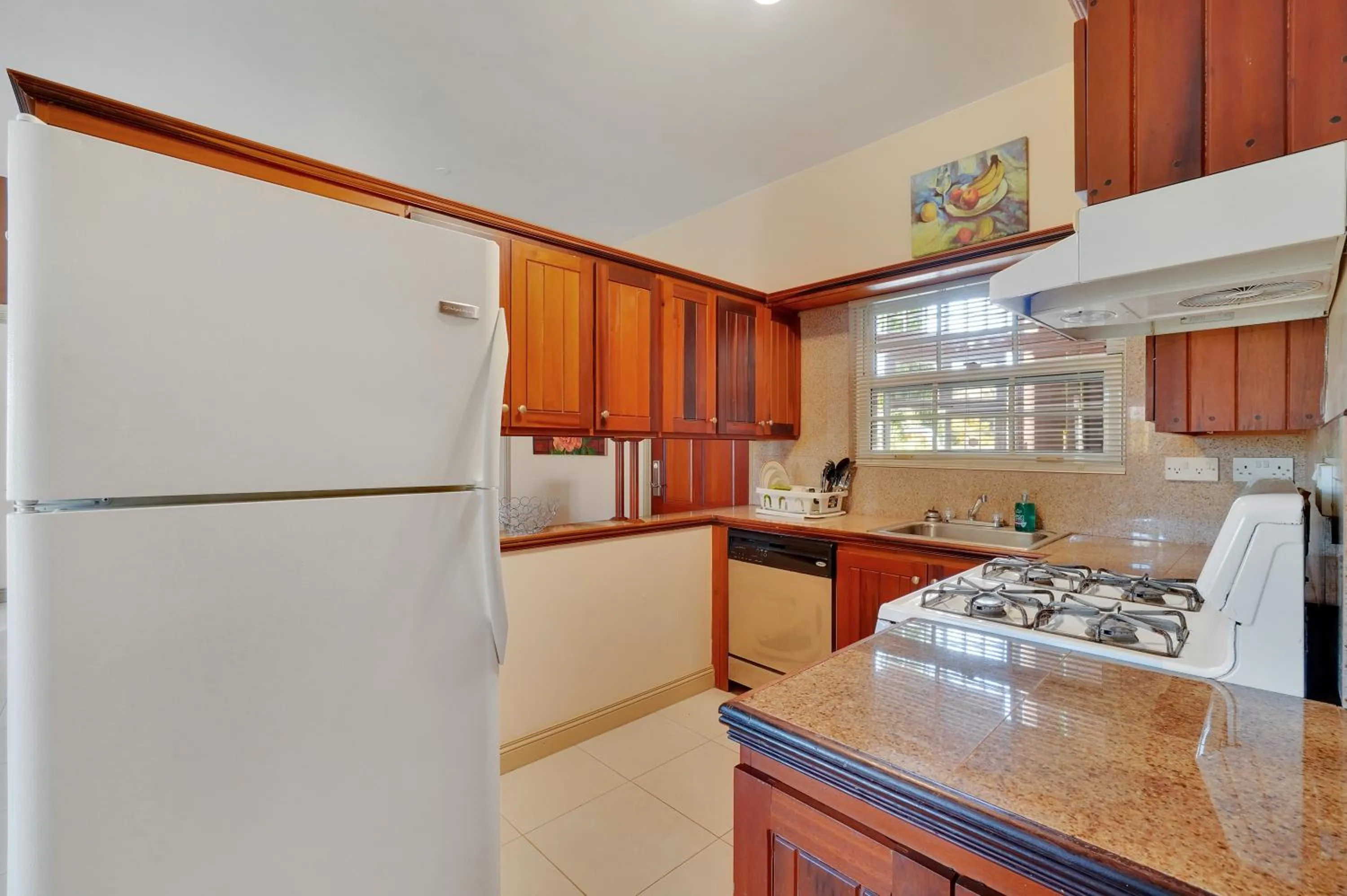 Kitchen or kitchenette in Mandela Court Suites Grenada