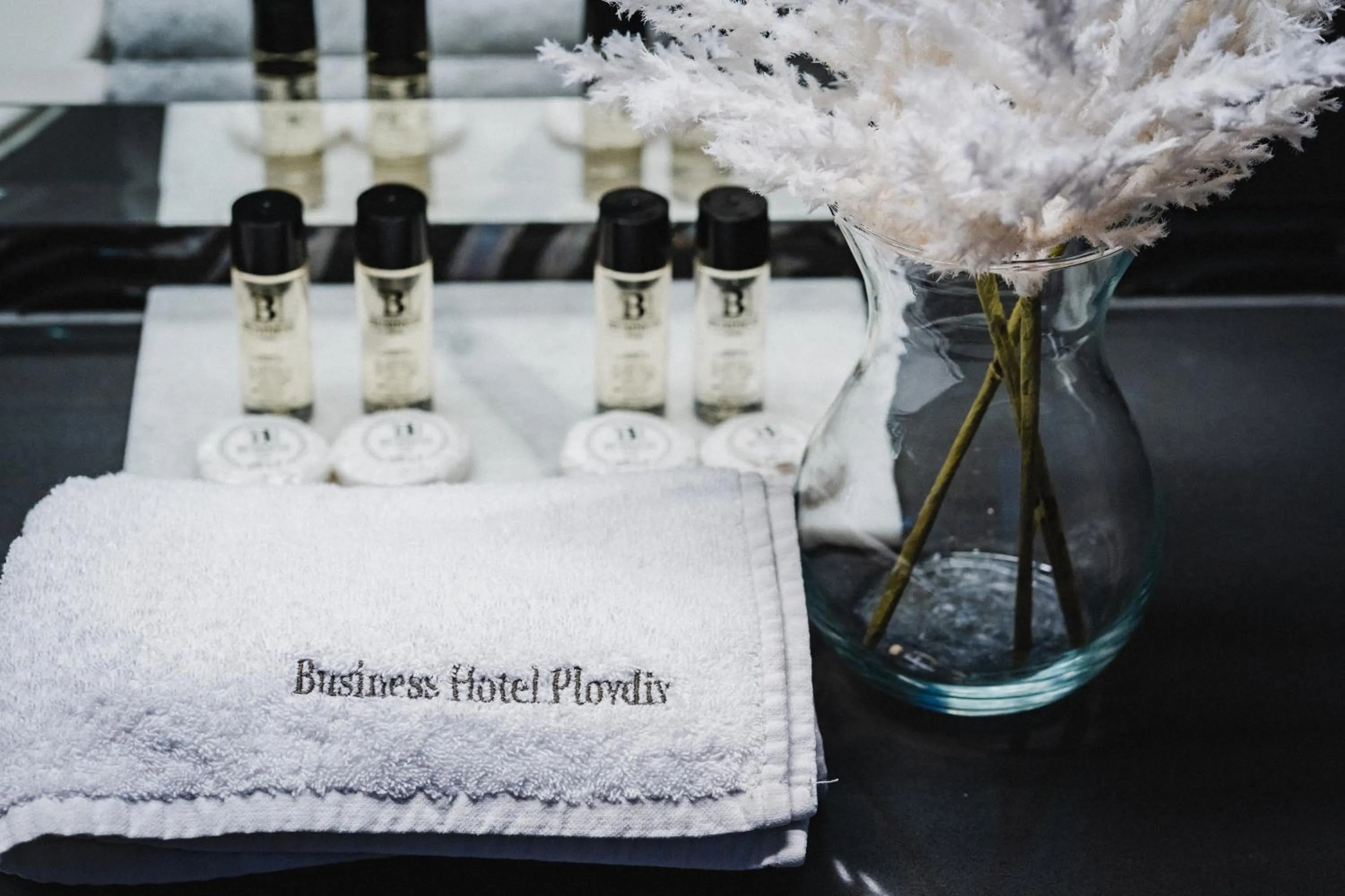 Decorative detail in Business Hotel Plovdiv - Central Location