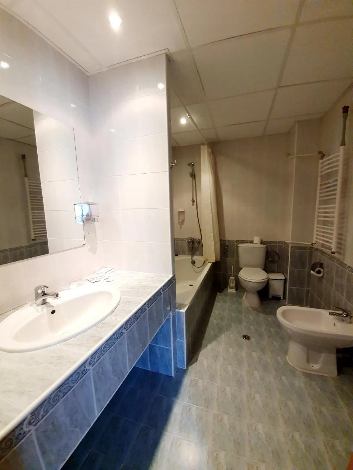 Toilet in Finlandia Hotel