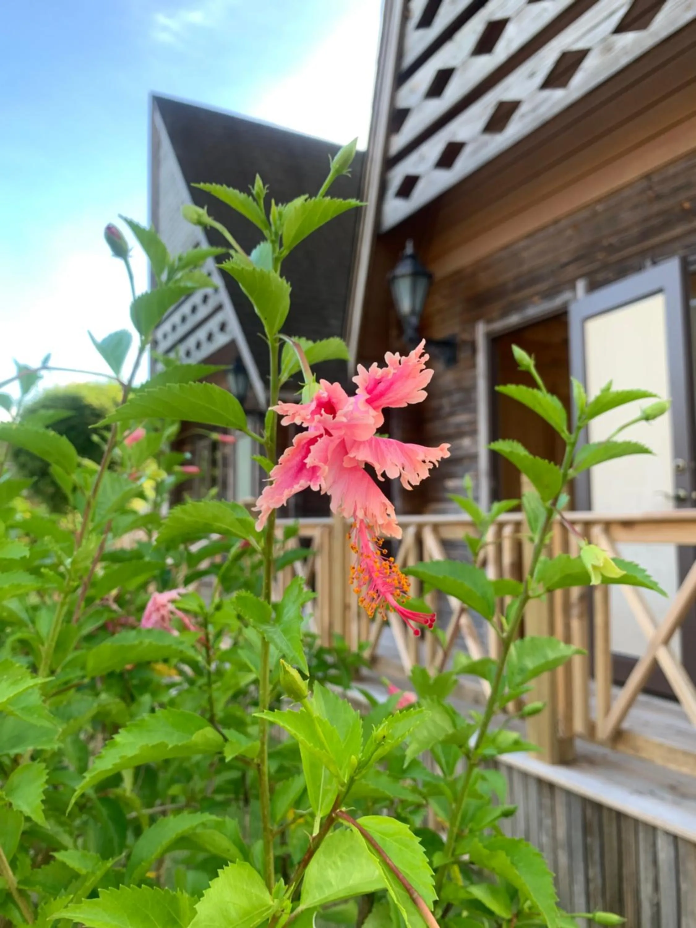 View (from property/room) in Island Paradise Resort Club