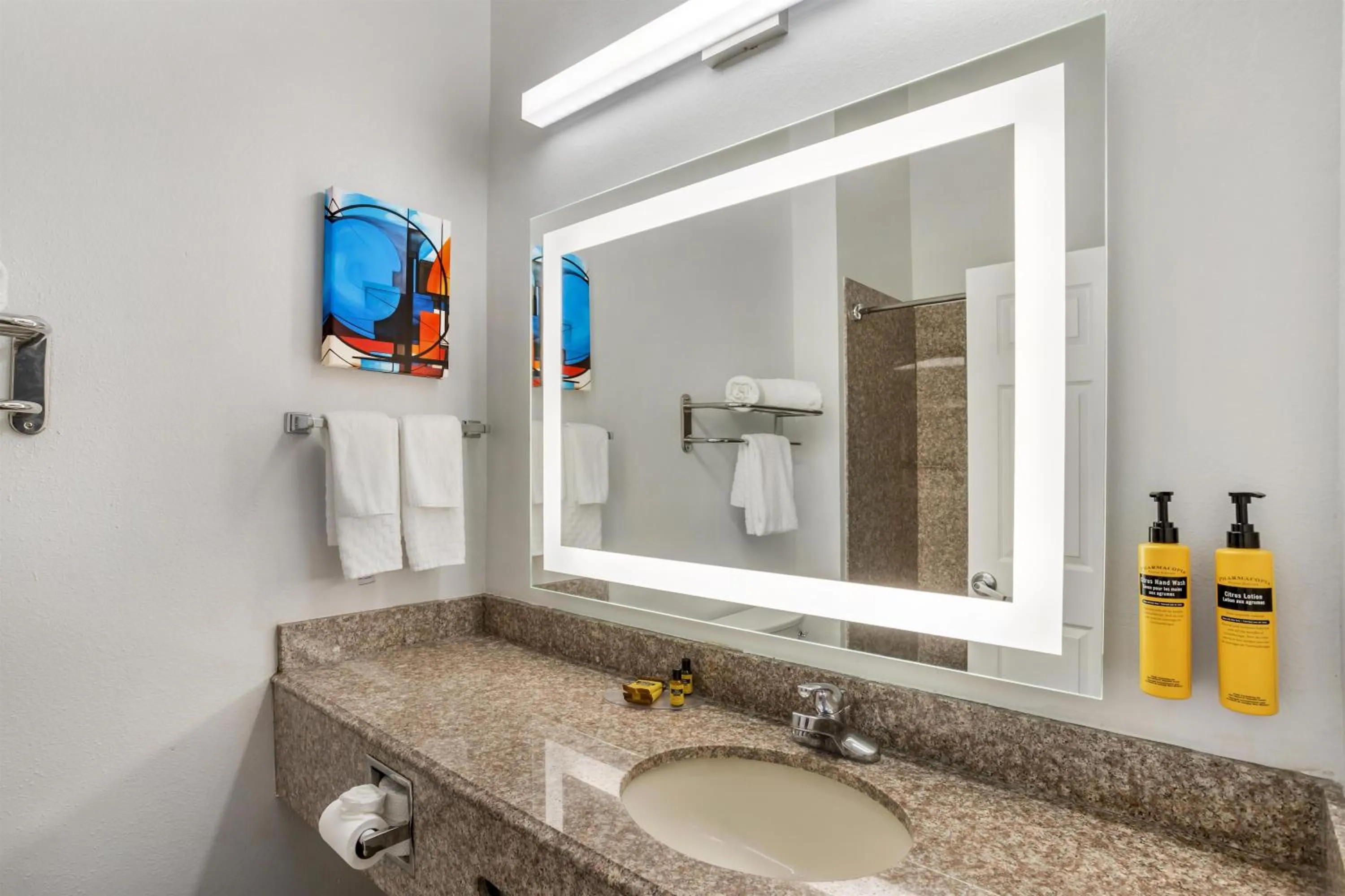 Bathroom in Best Western Plus New Caney Inn & Suites