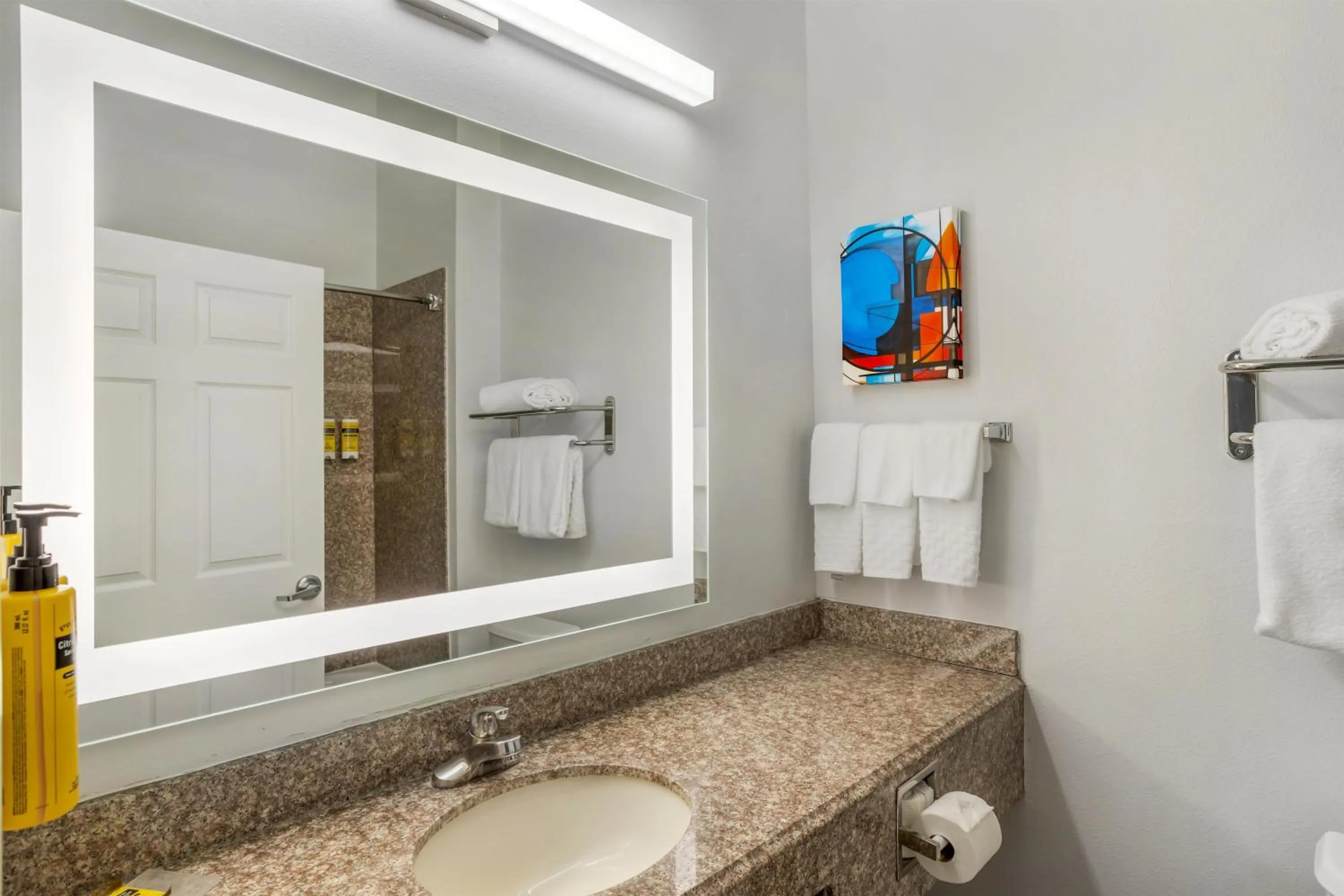 Bathroom in Best Western Plus New Caney Inn & Suites