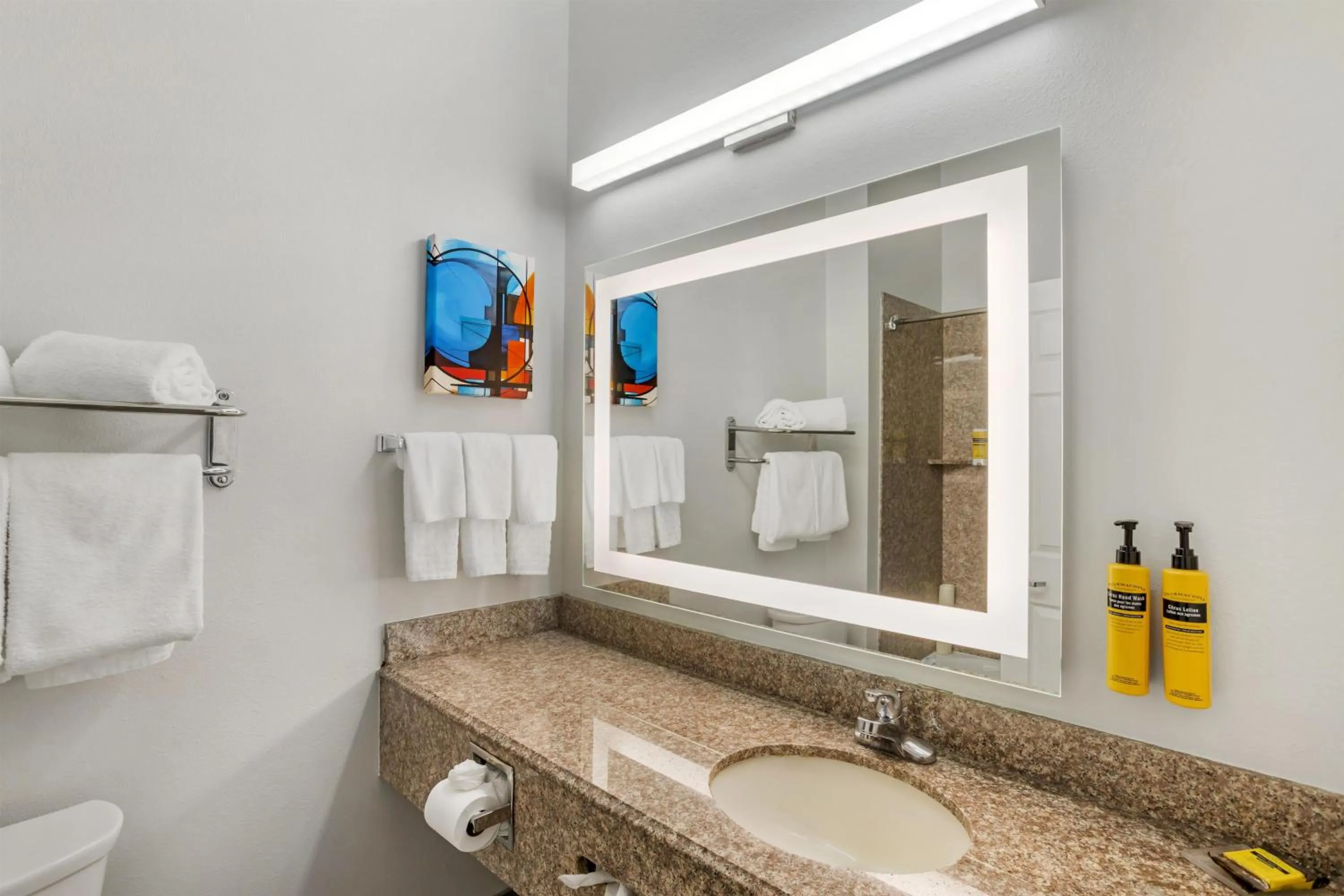 Bathroom in Best Western Plus New Caney Inn & Suites