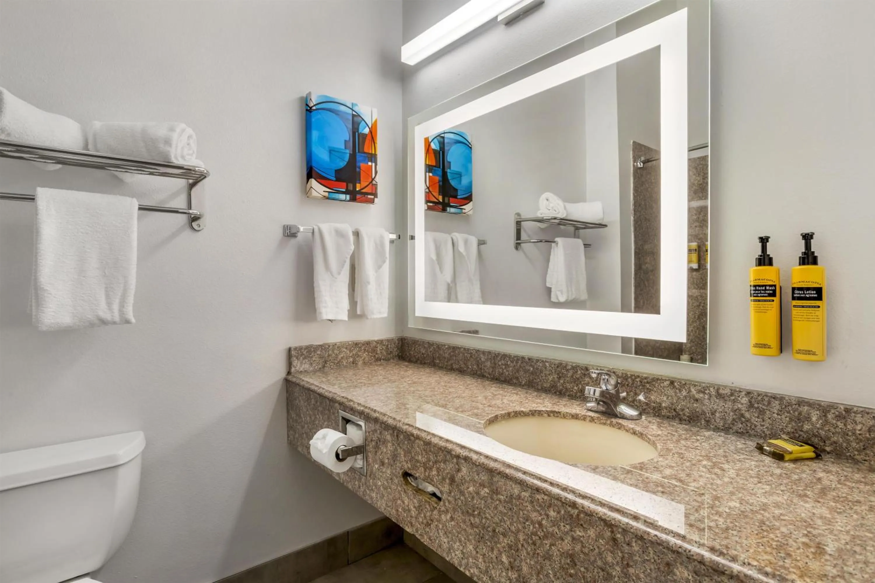 Bathroom in Best Western Plus New Caney Inn & Suites