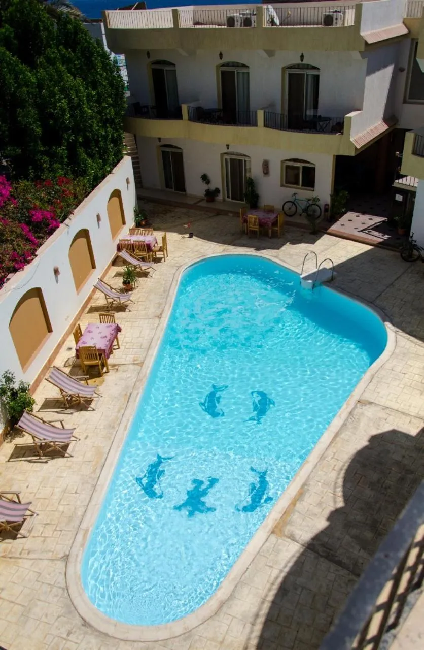 Pool view in New Yalla Hotel