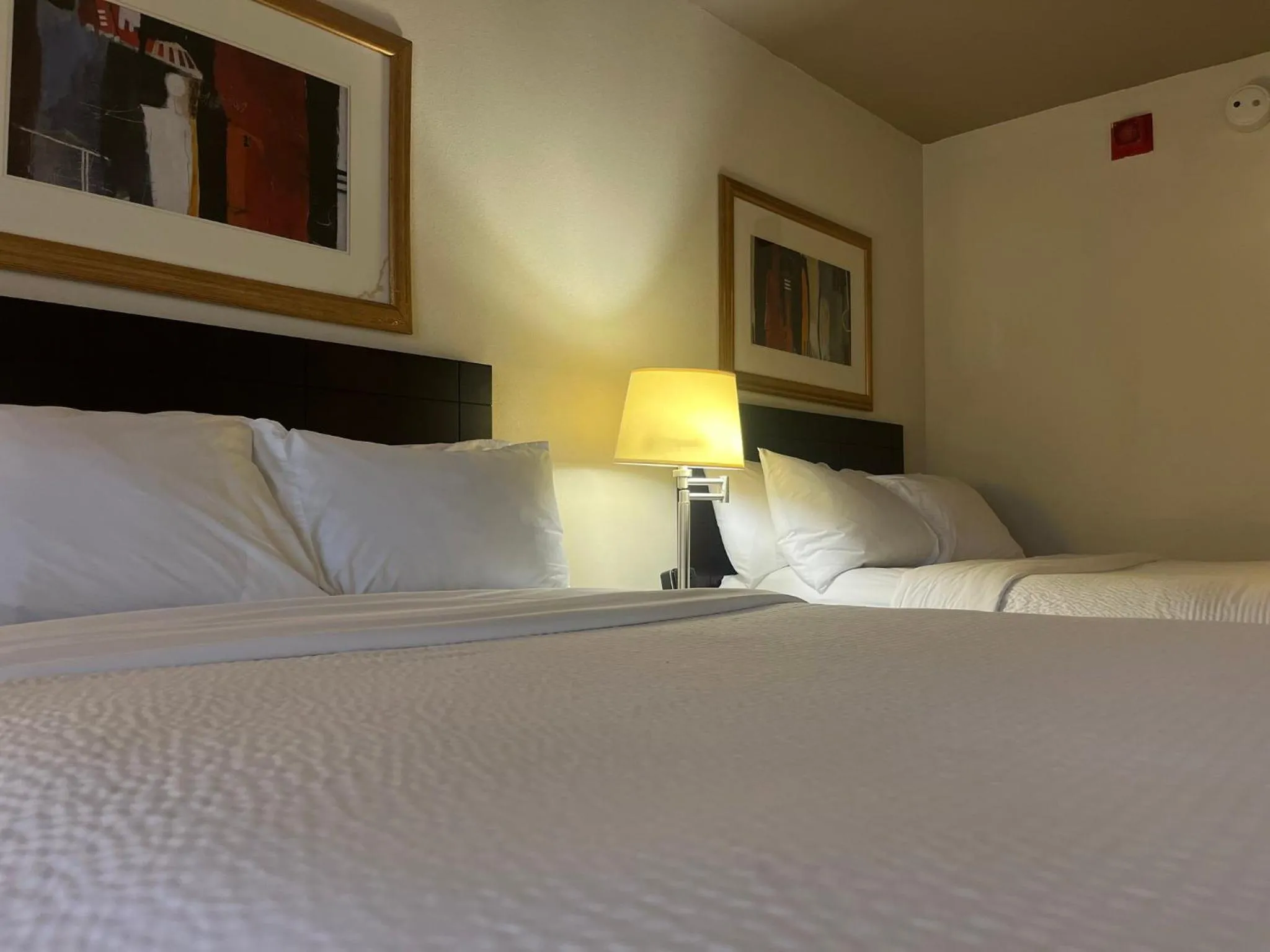 Photo of the whole room, Bed in Holiday Inn & Suites Springfield-I-44 by IHG