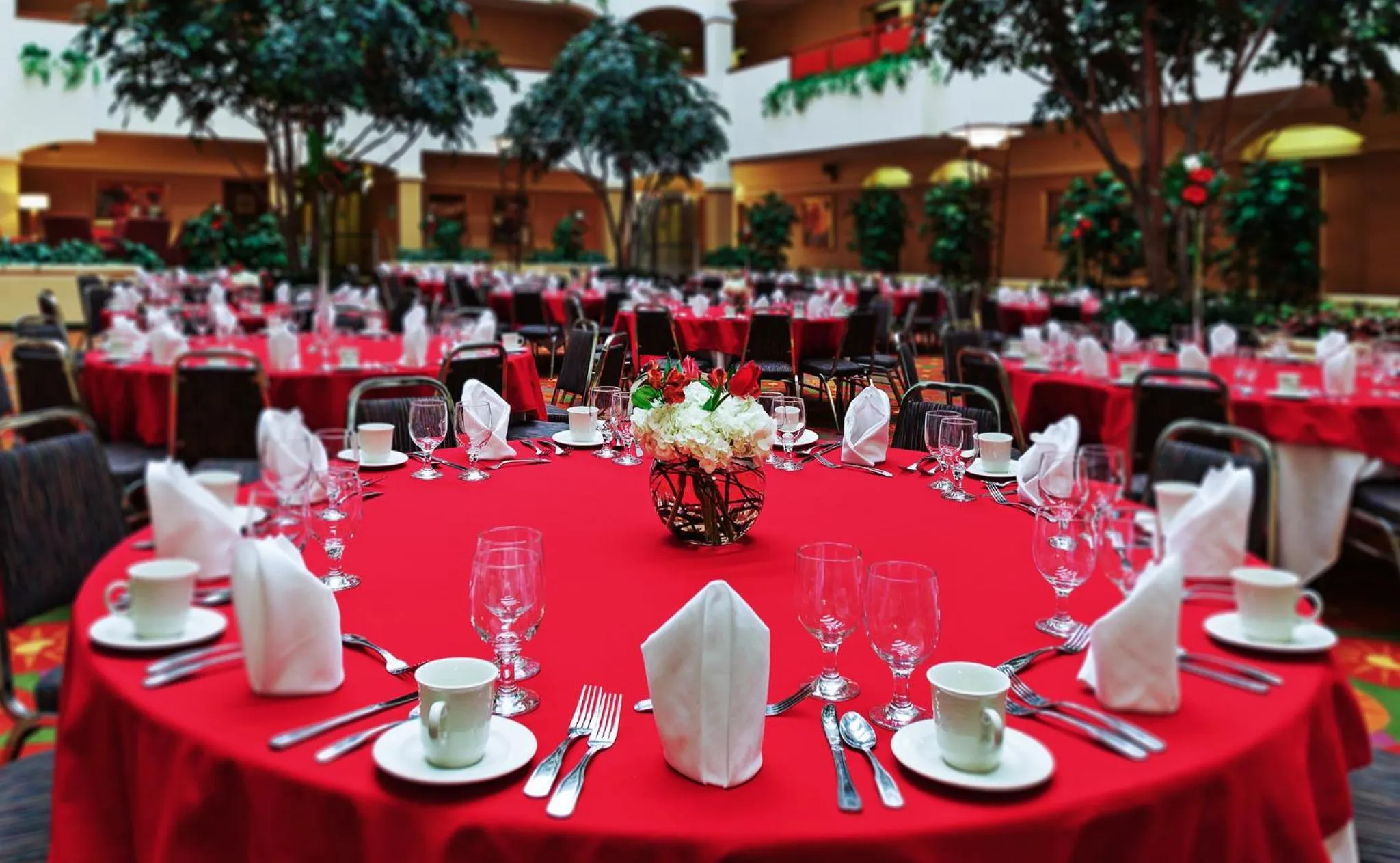 Banquet/Function facilities in Holiday Inn & Suites Springfield-I-44 by IHG