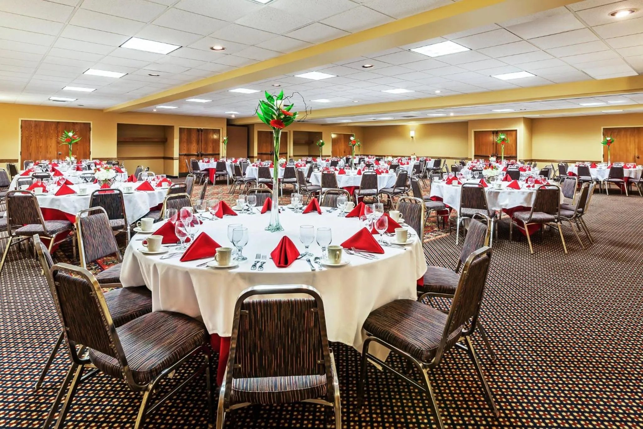 Banquet/Function facilities in Holiday Inn & Suites Springfield-I-44 by IHG