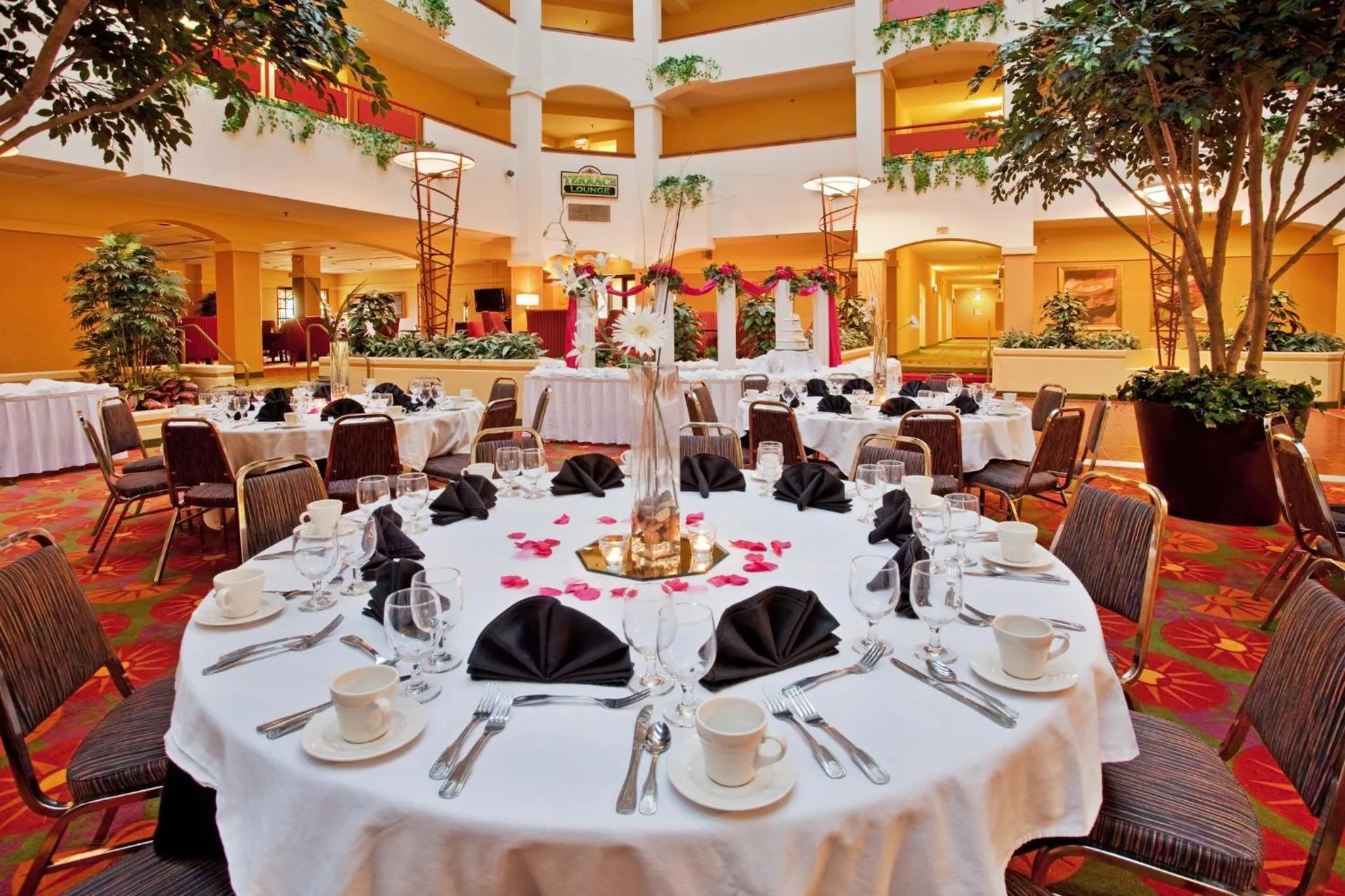 Meeting/conference room in Holiday Inn & Suites Springfield-I-44 by IHG