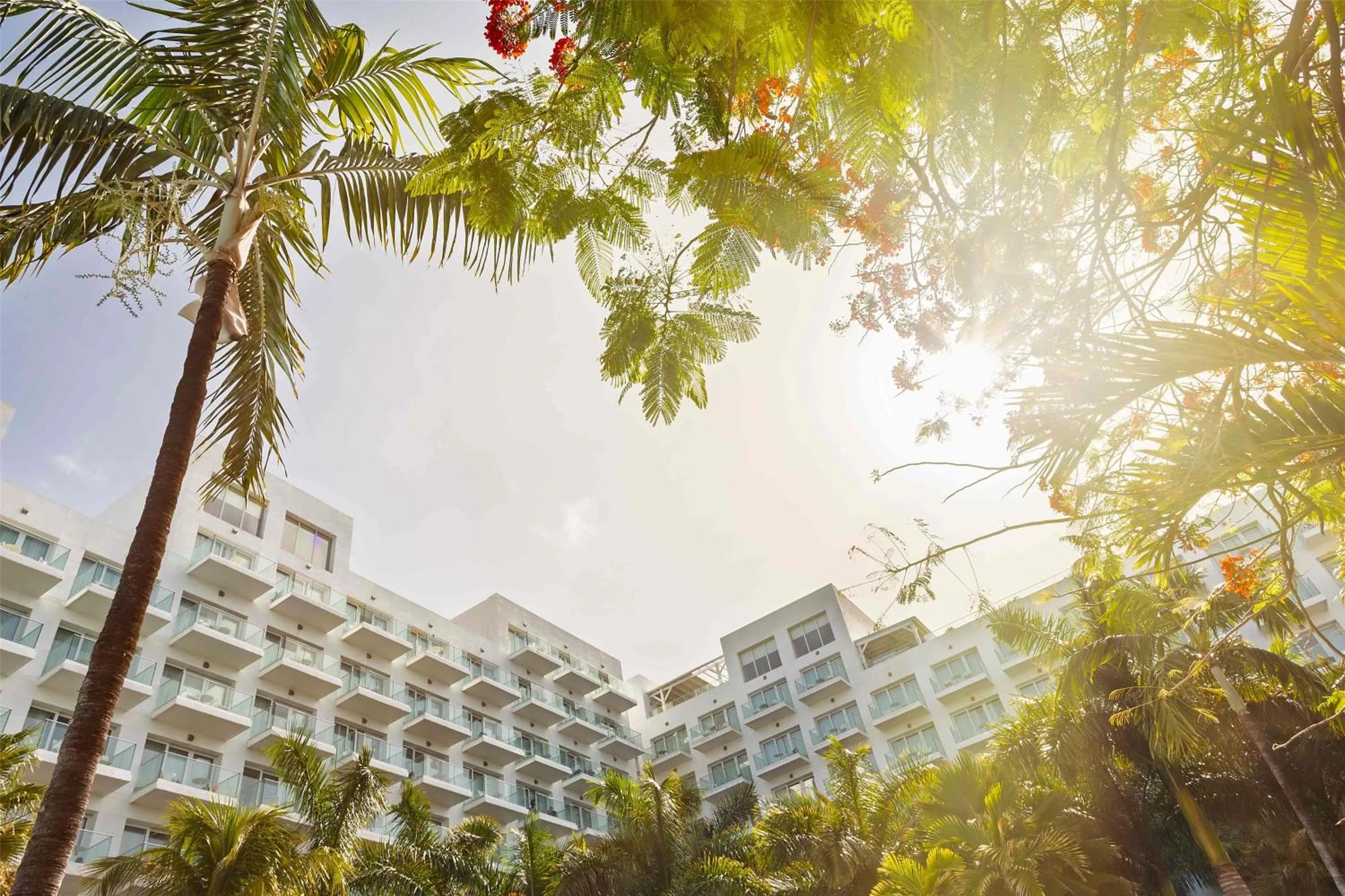 Property building in Sonesta Maho Beach All Inclusive Resort Casino & Spa