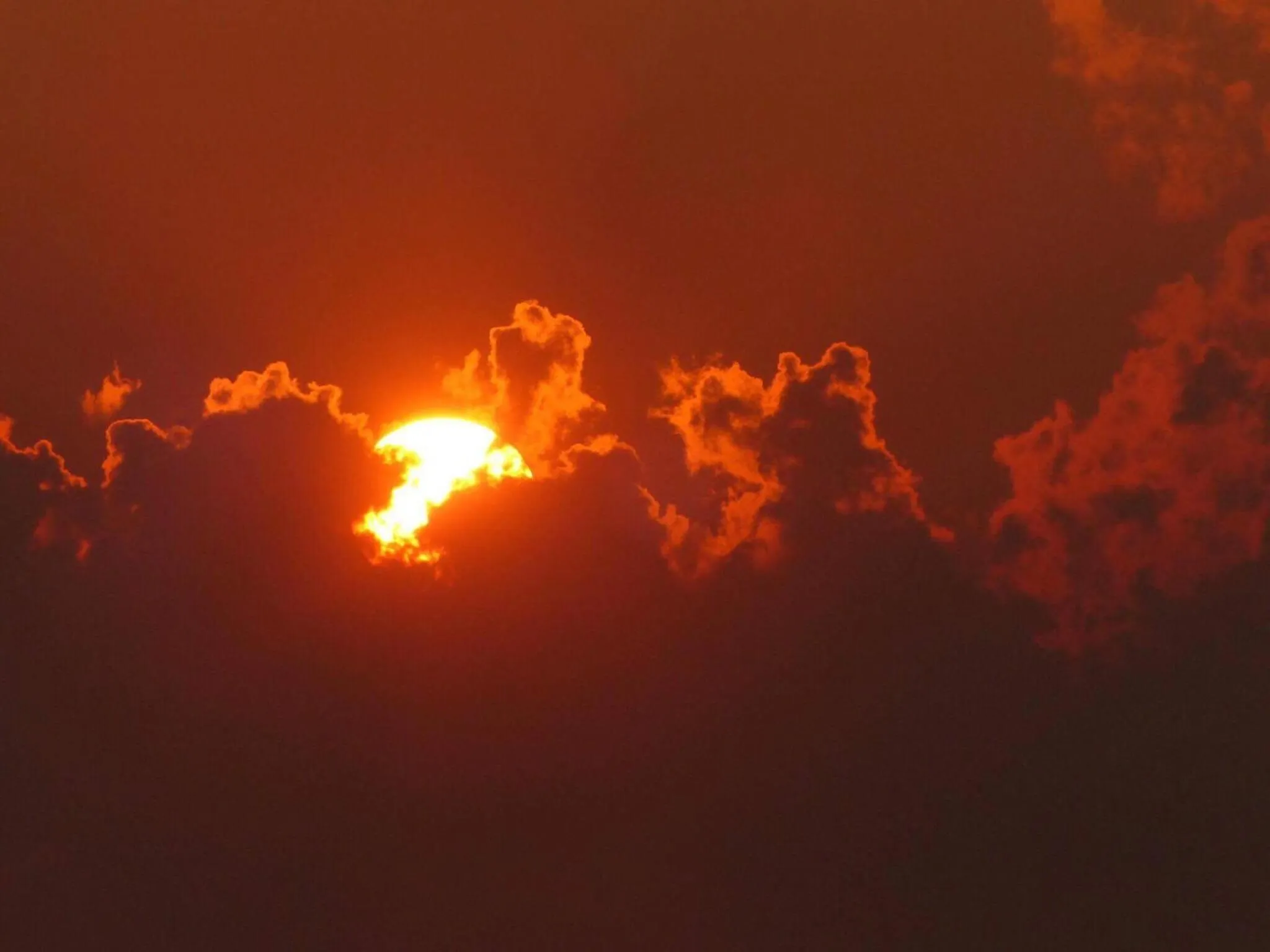 Sunset in Sea Forest Homestay