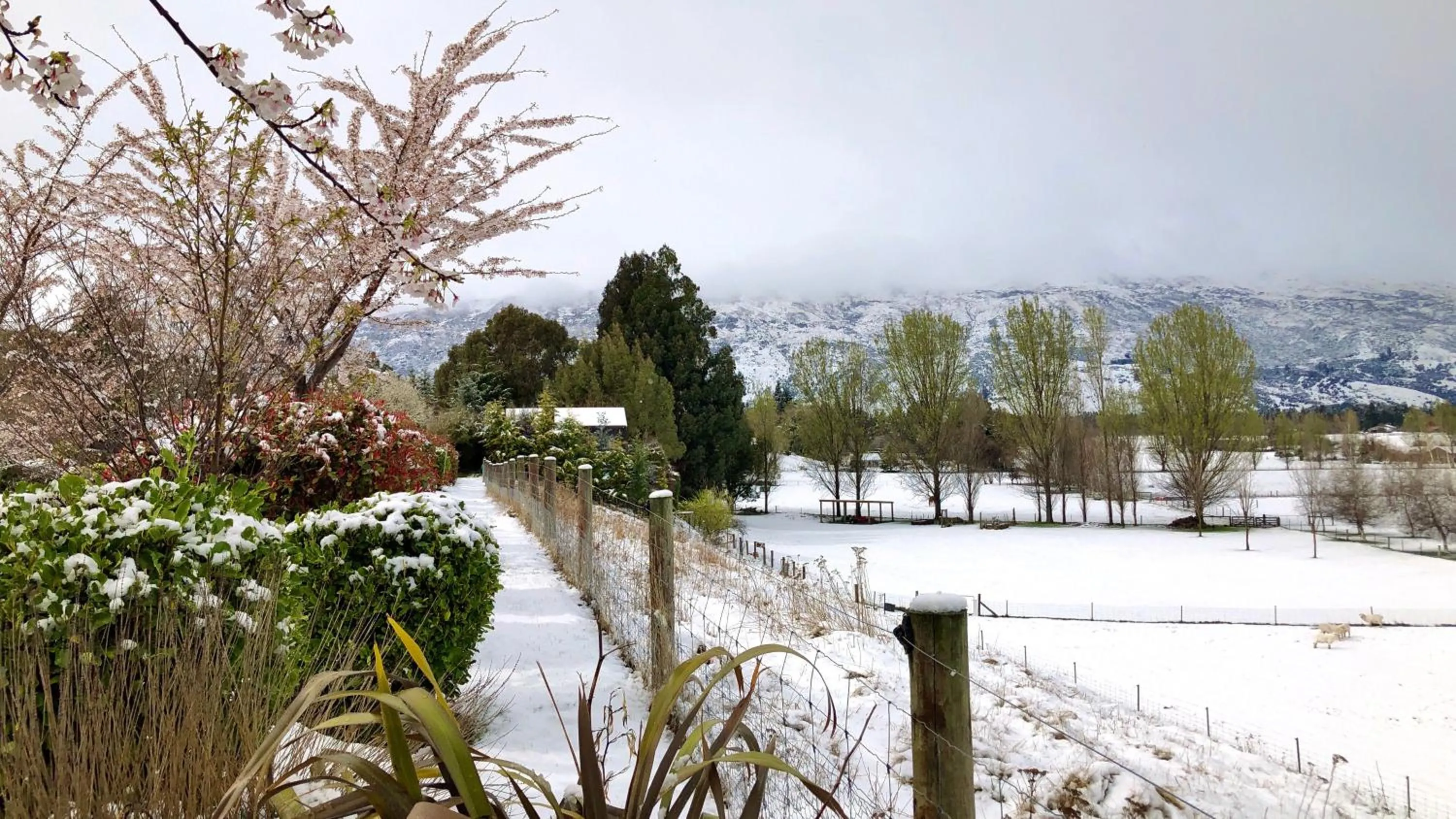 Natural landscape in Alpine View Lodge