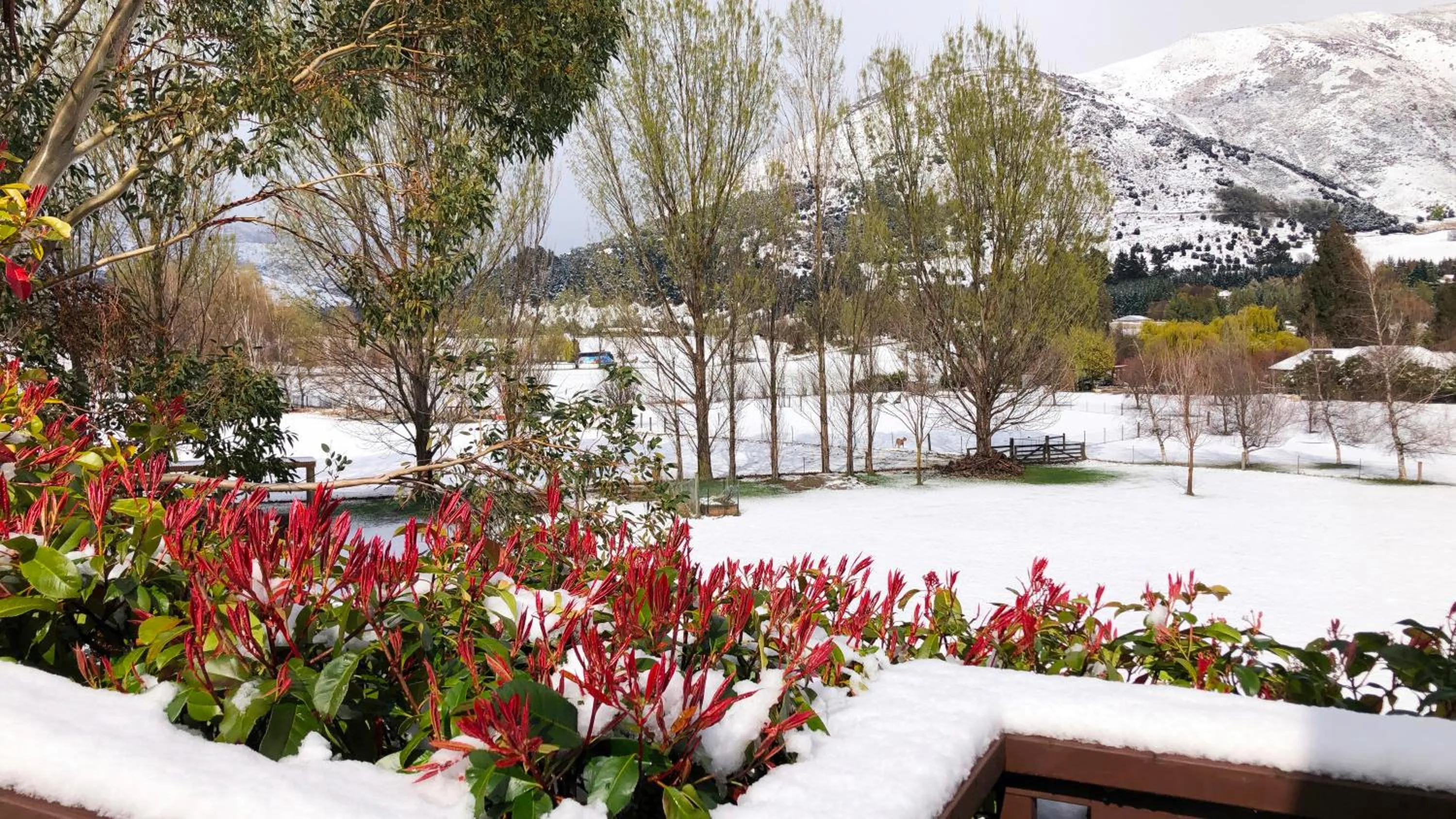 Natural landscape in Alpine View Lodge